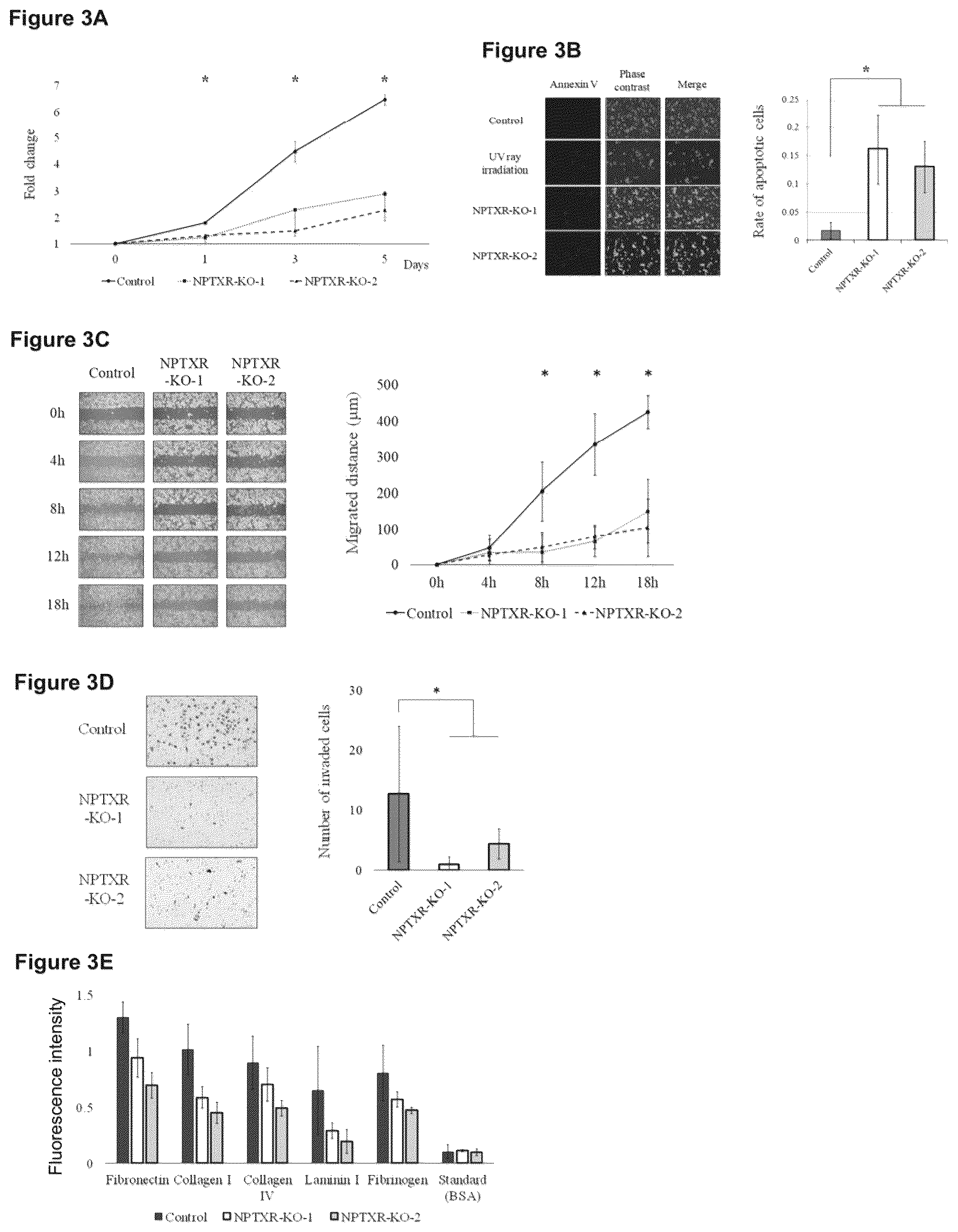 Patent US12098205 Figure 3 – Therapeutic agent targeted to receptor protein, test agent, antibody that binds to receptor protein, and screening method for molecularly targeted drugs