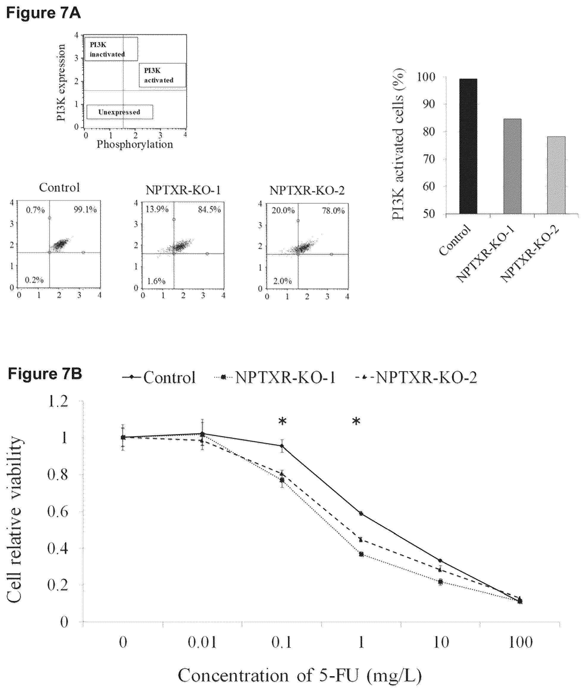 Patent US12098205 Figure 6 – Therapeutic agent targeted to receptor protein, test agent, antibody that binds to receptor protein, and screening method for molecularly targeted drugs