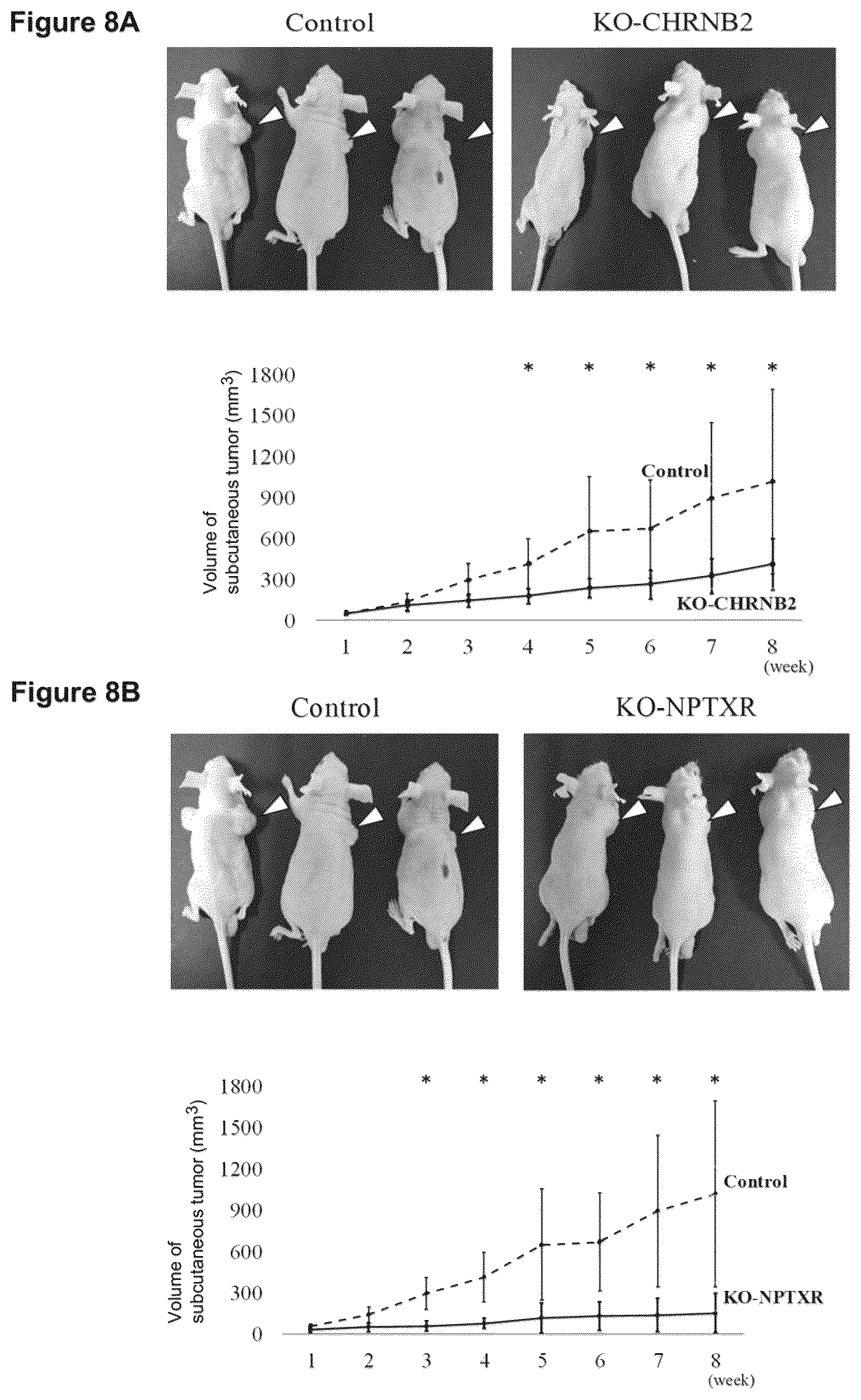 Patent US12098205 Figure 7 – Therapeutic agent targeted to receptor protein, test agent, antibody that binds to receptor protein, and screening method for molecularly targeted drugs