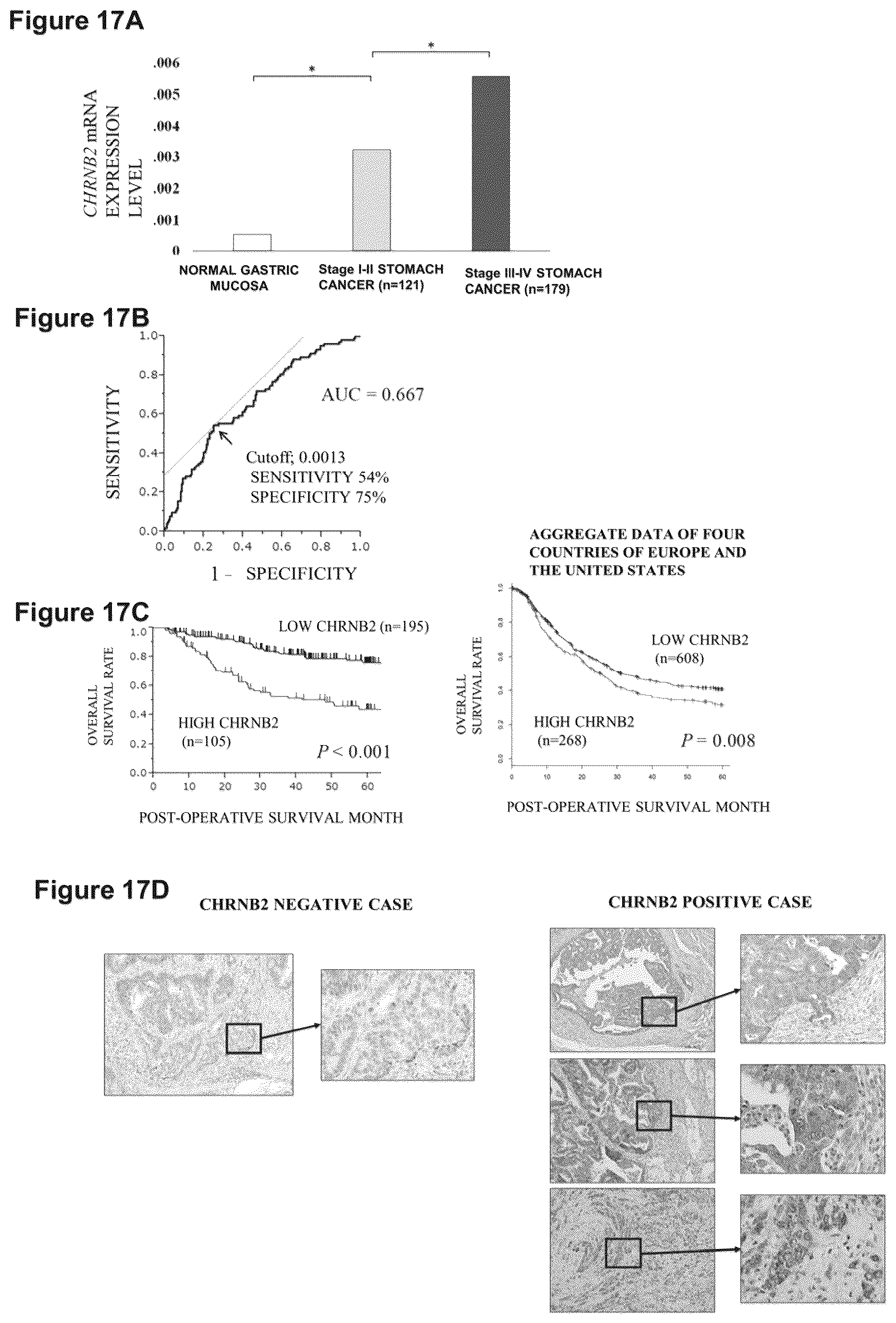 Patent US12098205 Figure 16 – Therapeutic agent targeted to receptor protein, test agent, antibody that binds to receptor protein, and screening method for molecularly targeted drugs