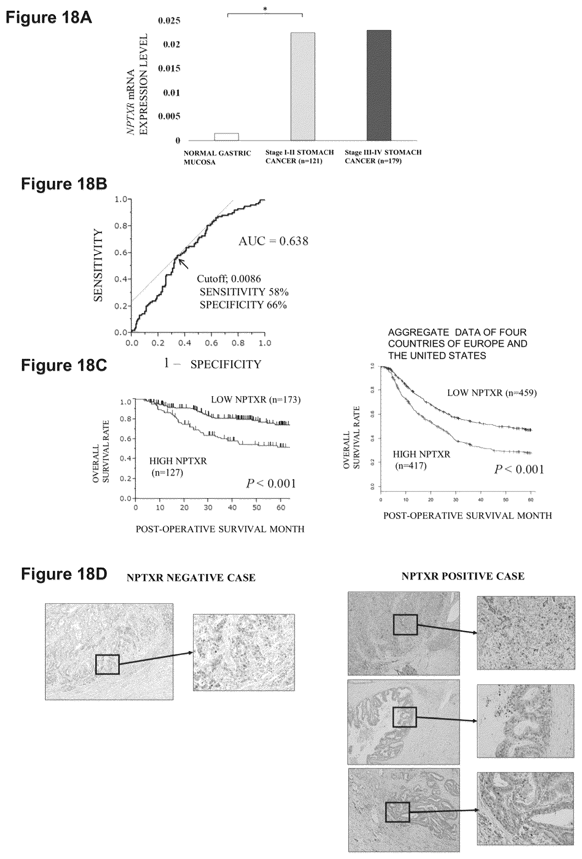Patent US12098205 Figure 17 – Therapeutic agent targeted to receptor protein, test agent, antibody that binds to receptor protein, and screening method for molecularly targeted drugs