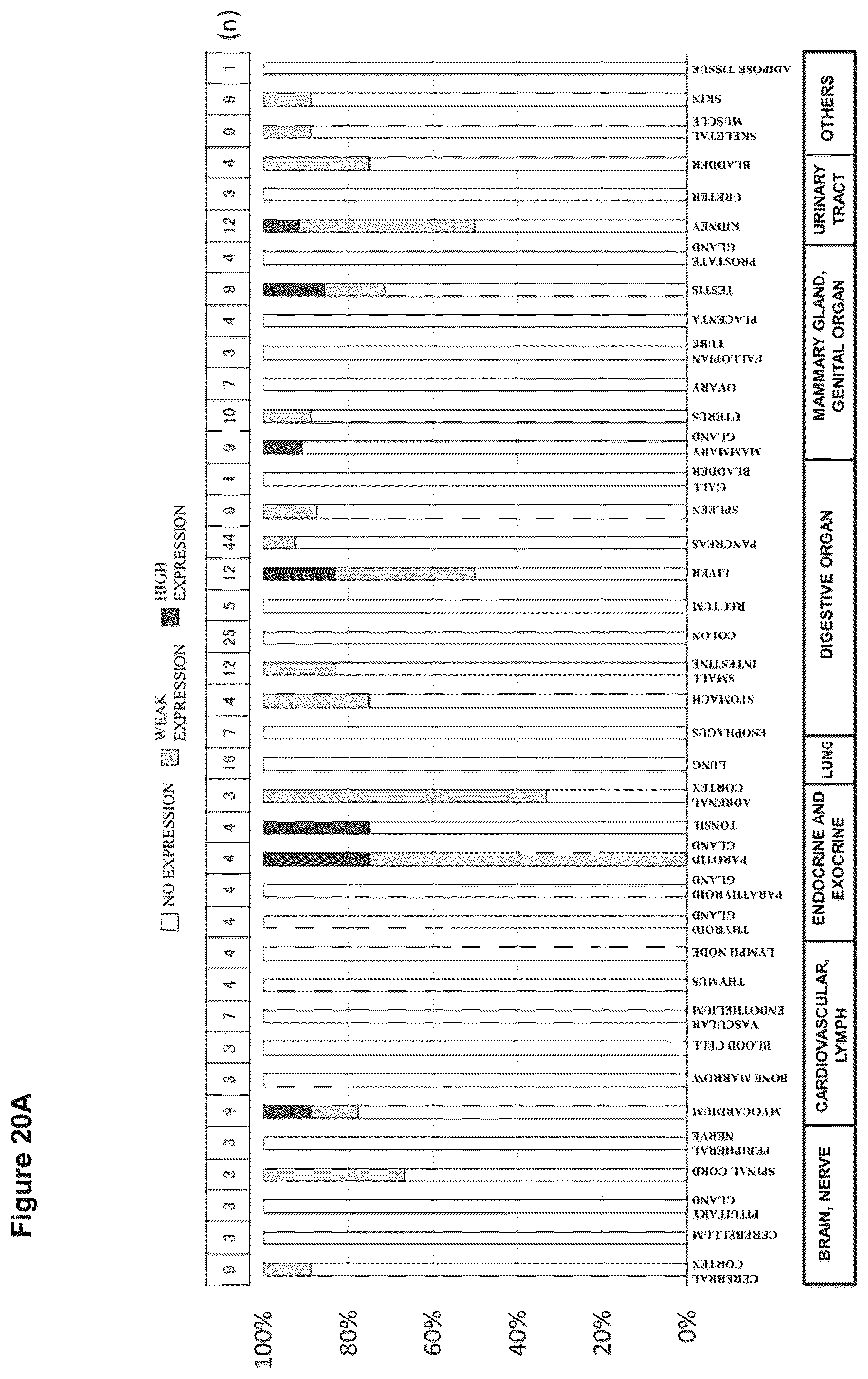 Patent US12098205 Figure 19 – Therapeutic agent targeted to receptor protein, test agent, antibody that binds to receptor protein, and screening method for molecularly targeted drugs