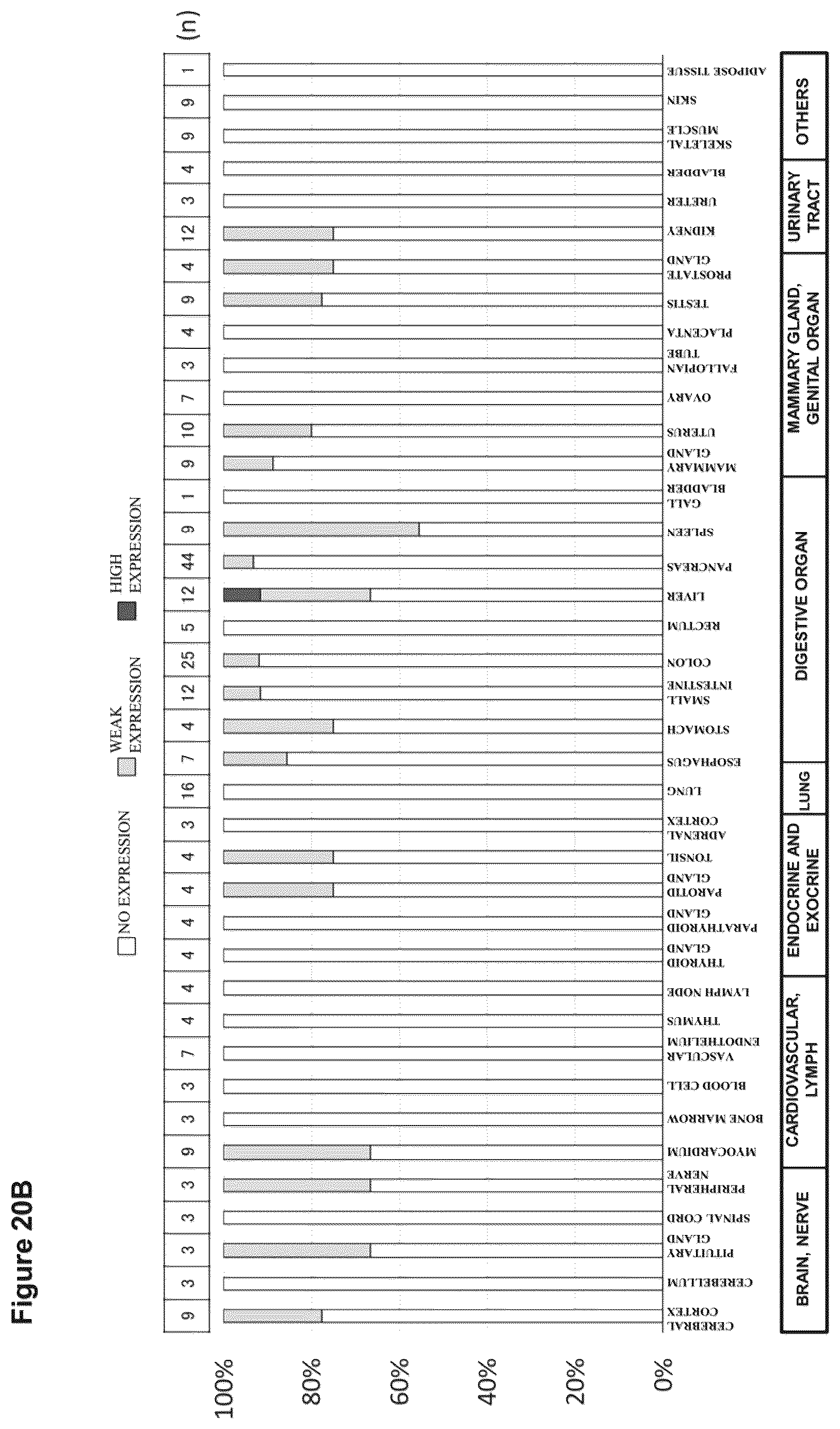 Patent US12098205 Figure 20 – Therapeutic agent targeted to receptor protein, test agent, antibody that binds to receptor protein, and screening method for molecularly targeted drugs