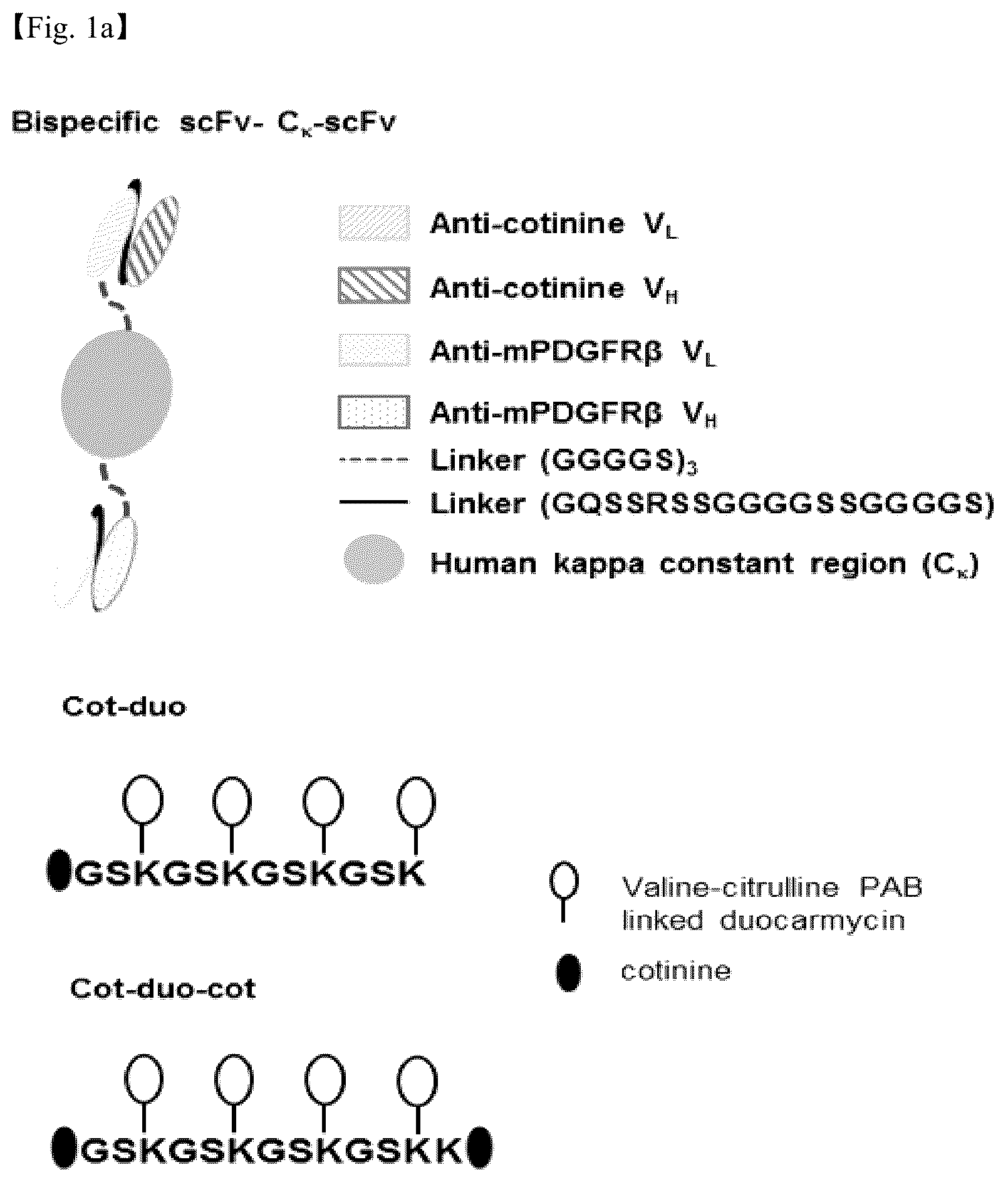 Patent US12098206 Figure 1 – PDGF receptor antibody and use thereof