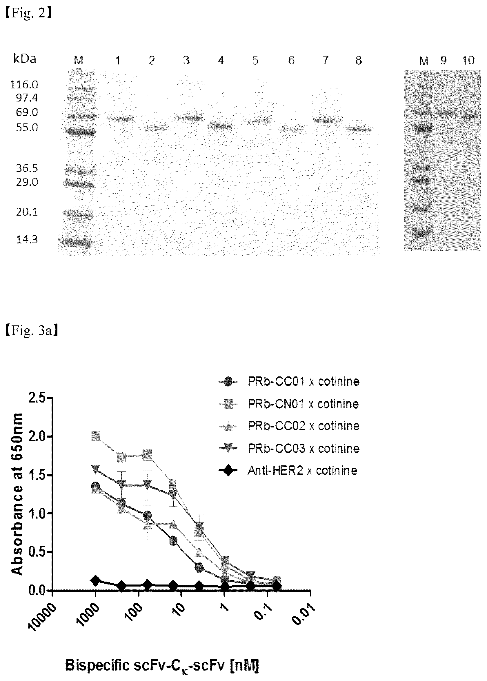 Patent US12098206 Figure 3 – PDGF receptor antibody and use thereof
