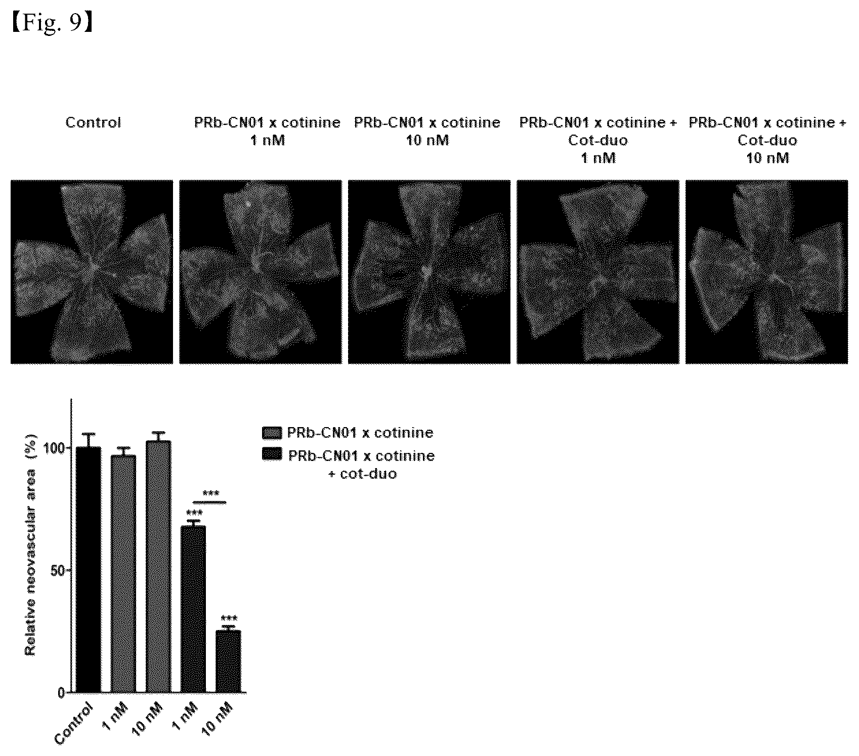 Patent US12098206 Figure 14 – PDGF receptor antibody and use thereof