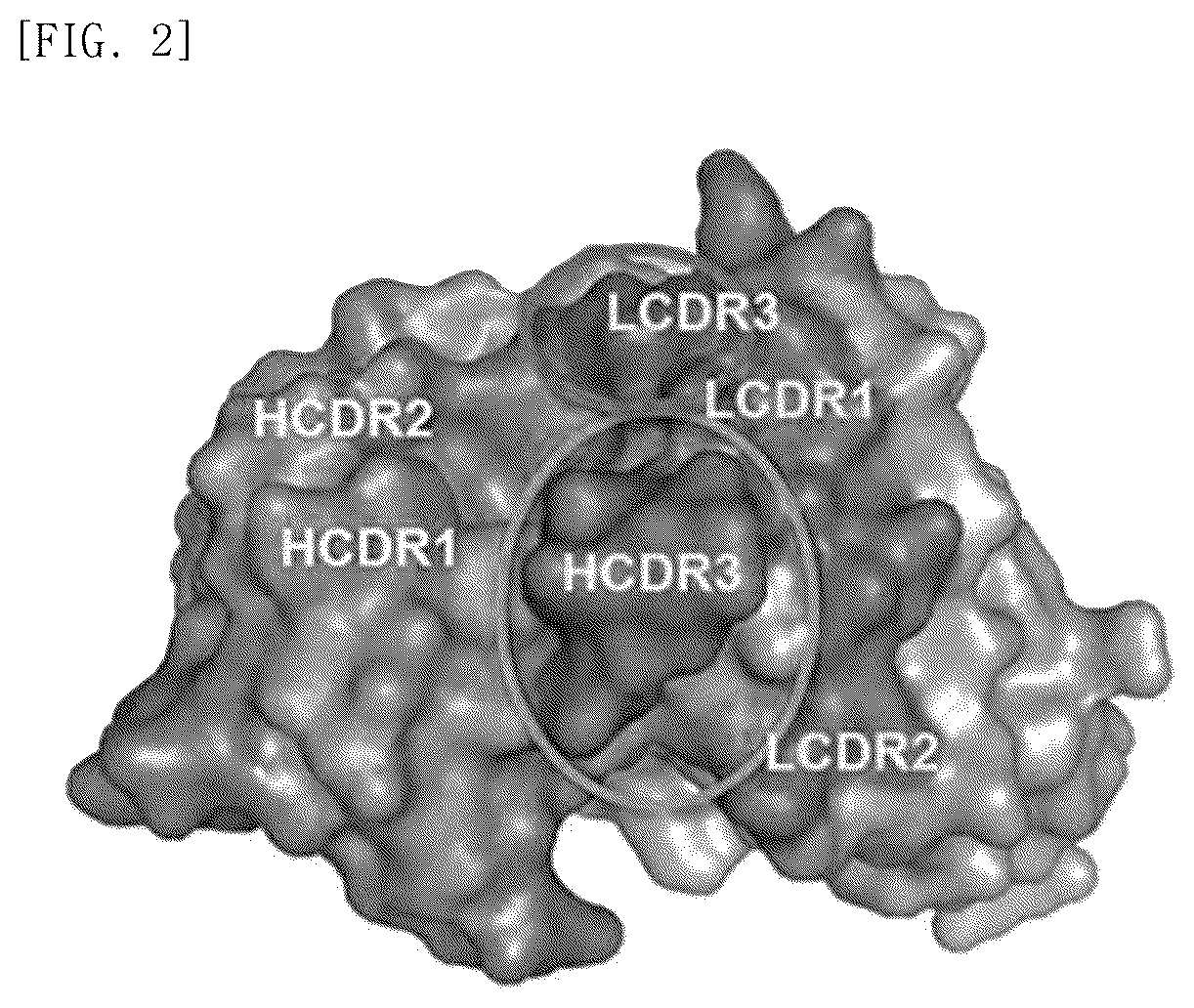 Patent US12098209 Figure 2 – Fusion protein comprising IDS and use thereof