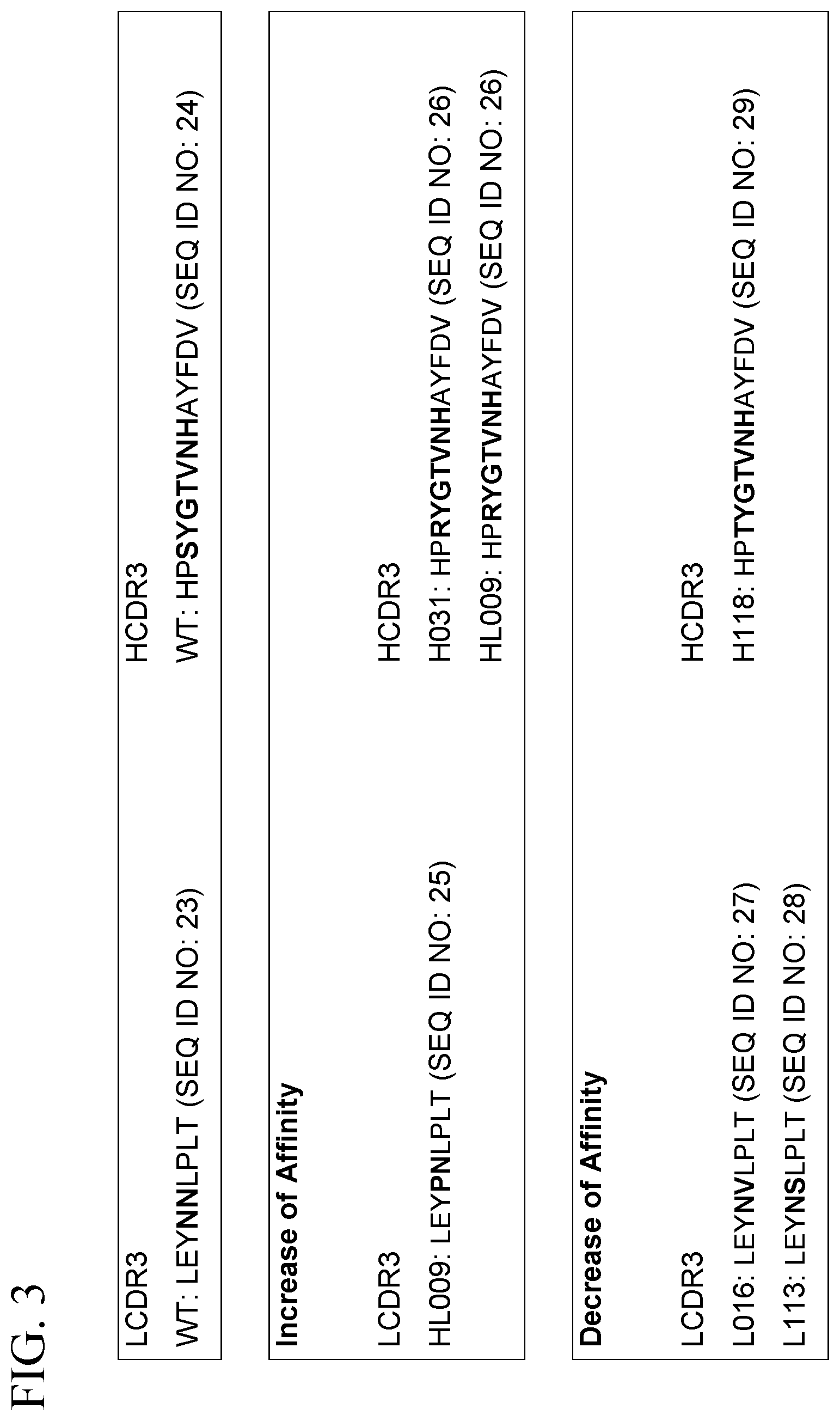 Patent US12098209 Figure 3 – Fusion protein comprising IDS and use thereof