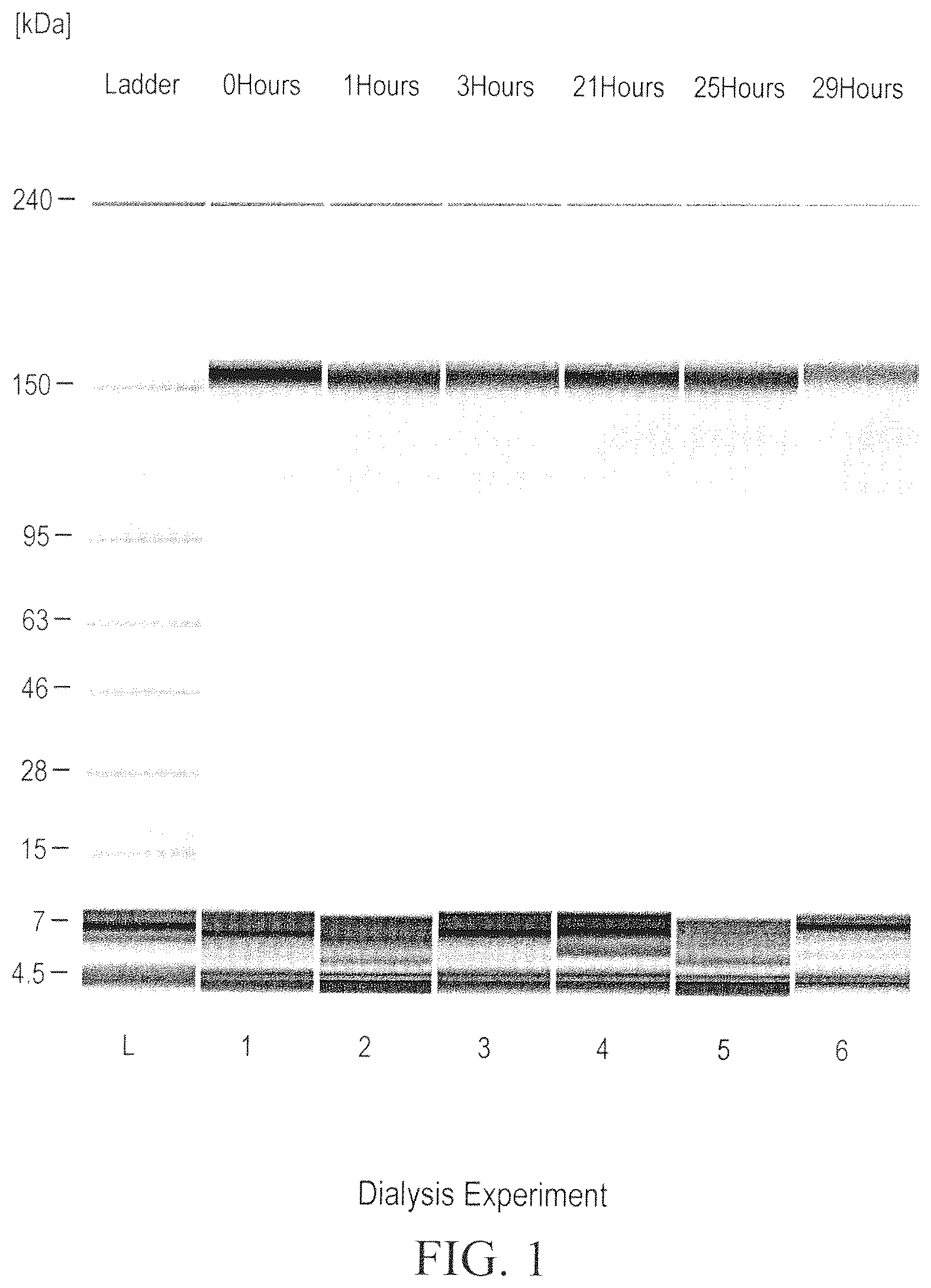 Patent US12098211 Figure 1 – Prevention of disulfide bond reduction during recombinant production of polypeptides