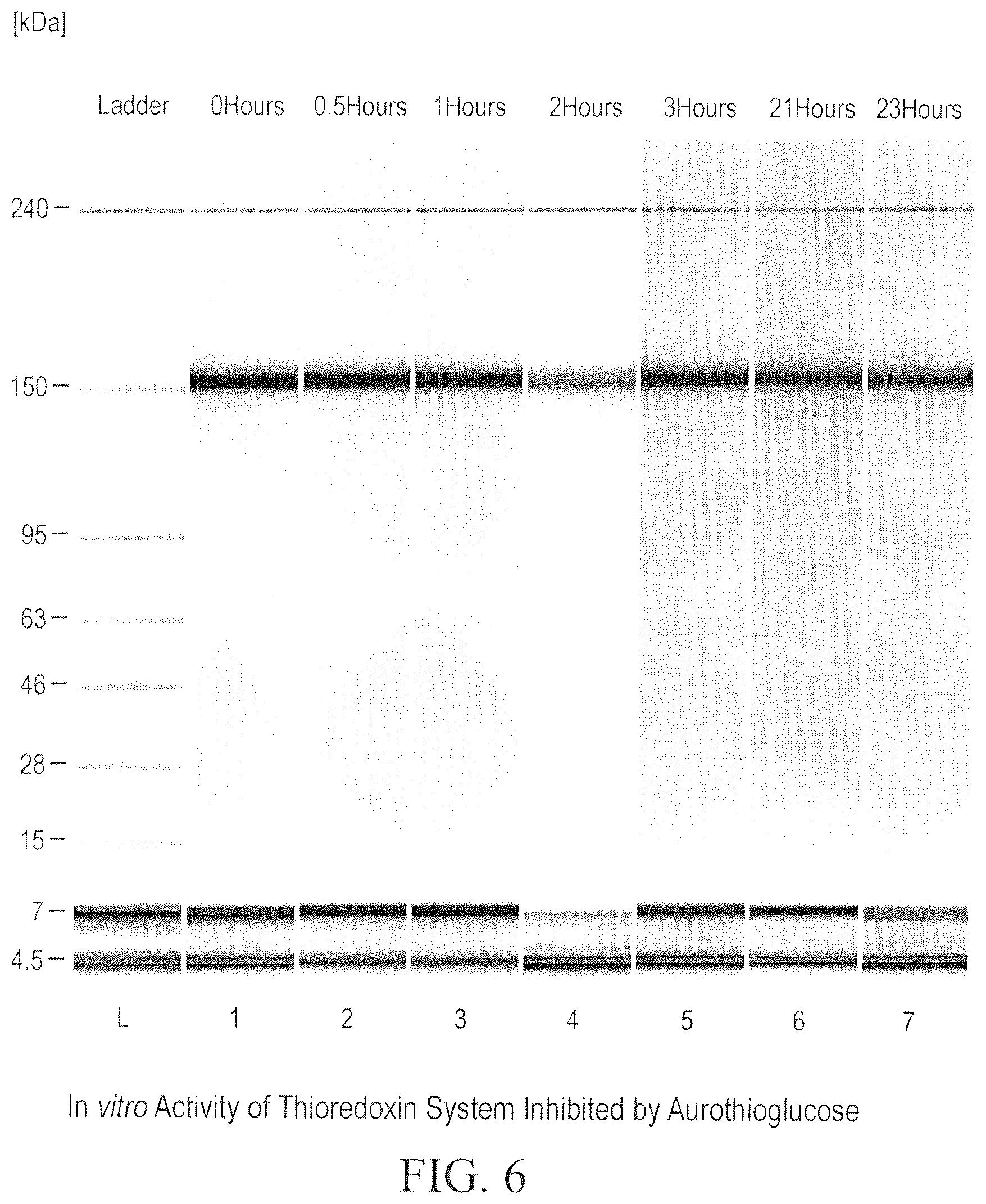 Patent US12098211 Figure 6 – Prevention of disulfide bond reduction during recombinant production of polypeptides
