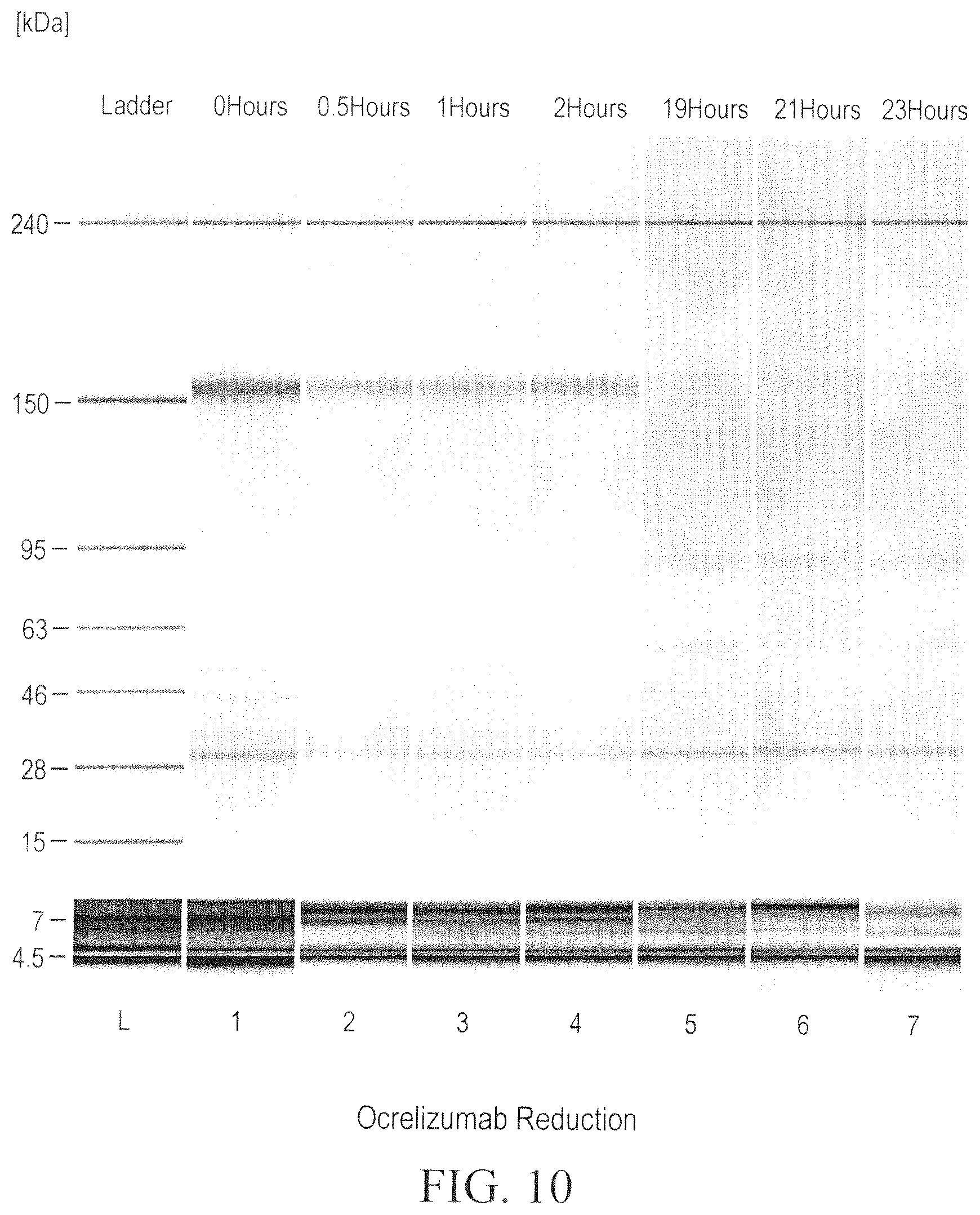 Patent US12098211 Figure 10 – Prevention of disulfide bond reduction during recombinant production of polypeptides