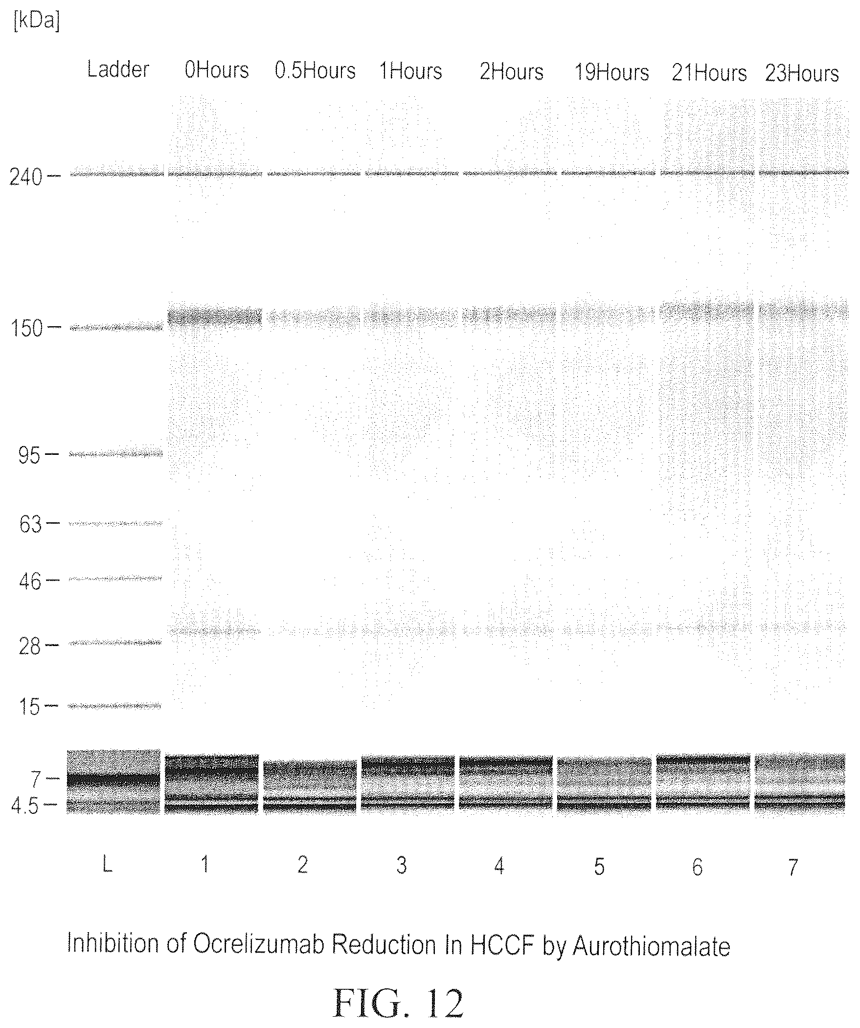 Patent US12098211 Figure 12 – Prevention of disulfide bond reduction during recombinant production of polypeptides
