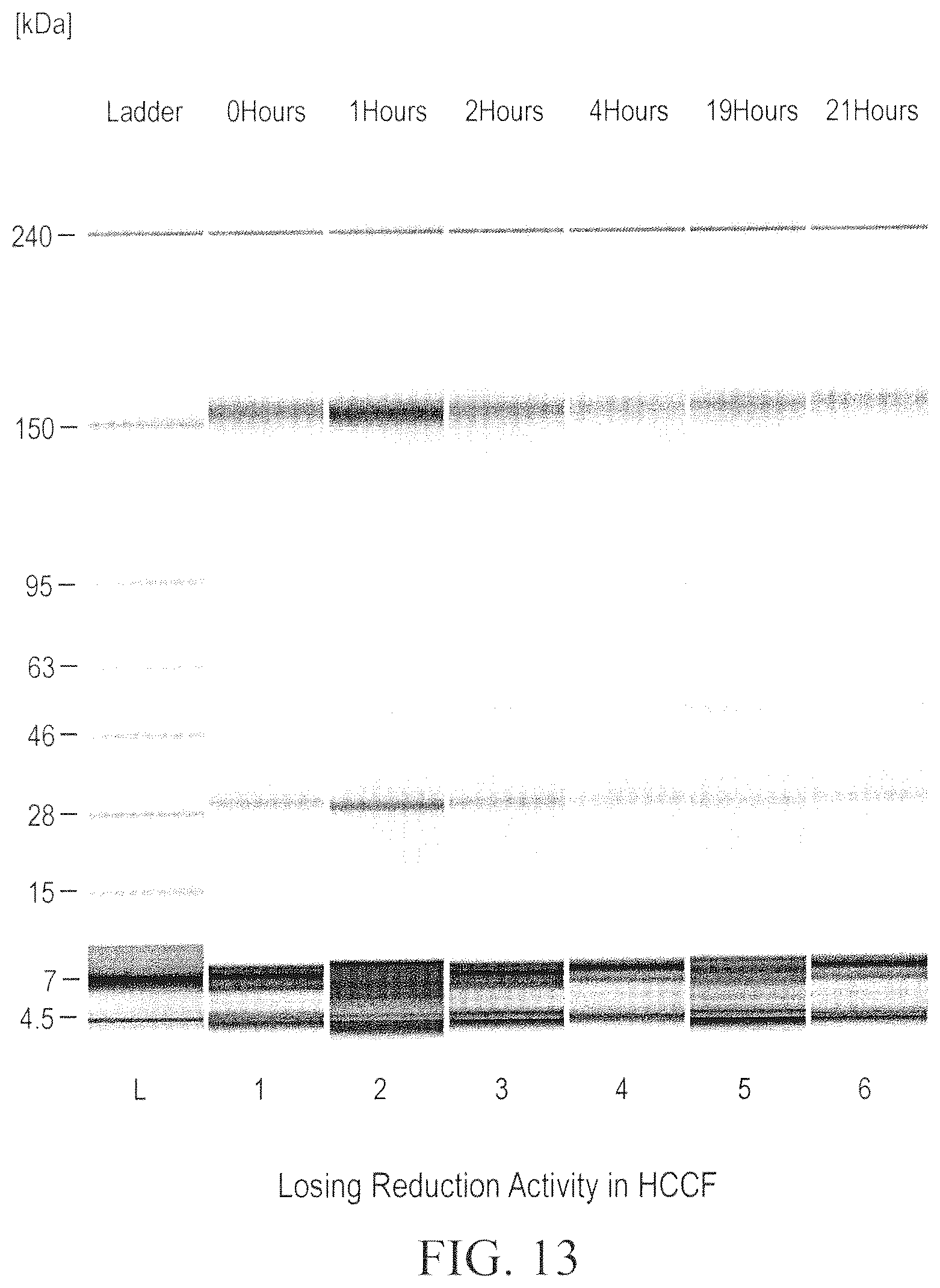 Patent US12098211 Figure 13 – Prevention of disulfide bond reduction during recombinant production of polypeptides