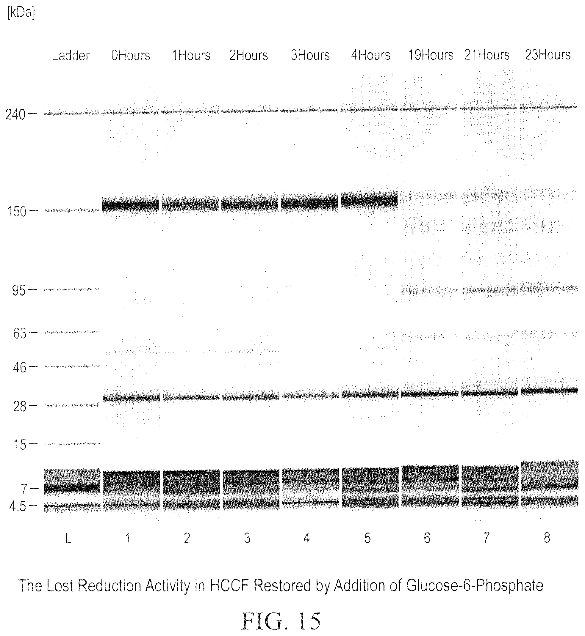 Patent US12098211 Figure 15 – Prevention of disulfide bond reduction during recombinant production of polypeptides