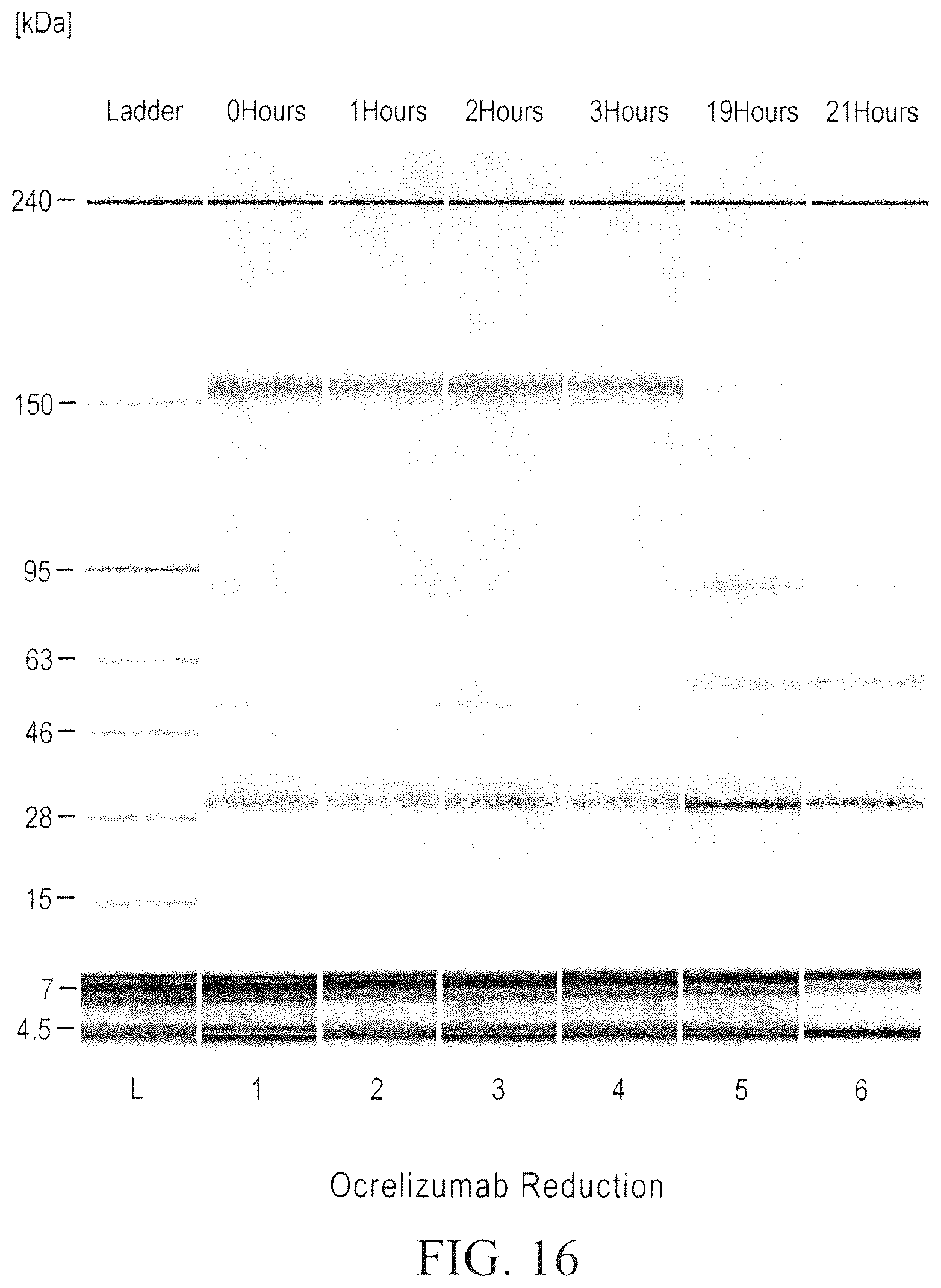 Patent US12098211 Figure 16 – Prevention of disulfide bond reduction during recombinant production of polypeptides