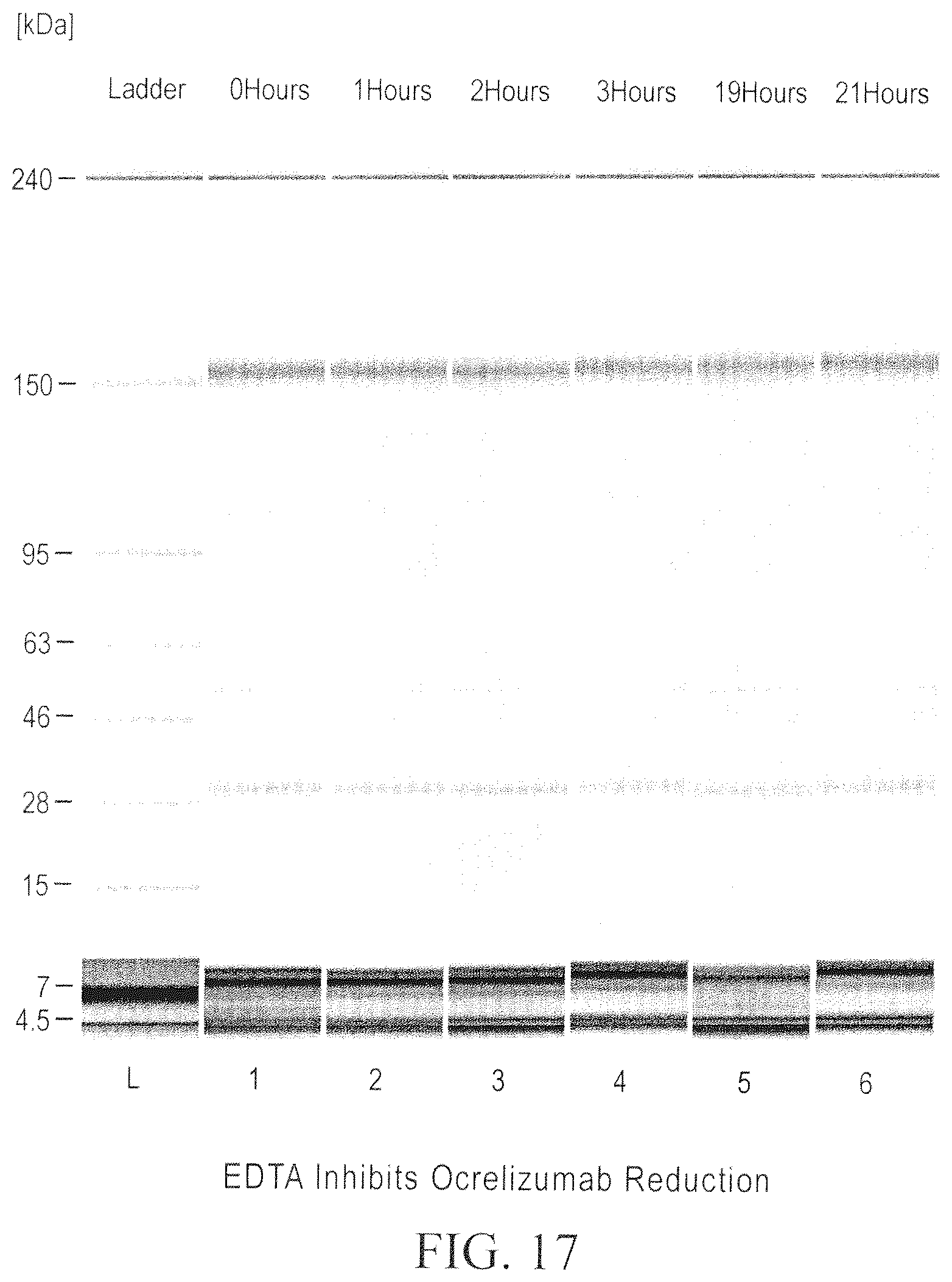 Patent US12098211 Figure 17 – Prevention of disulfide bond reduction during recombinant production of polypeptides