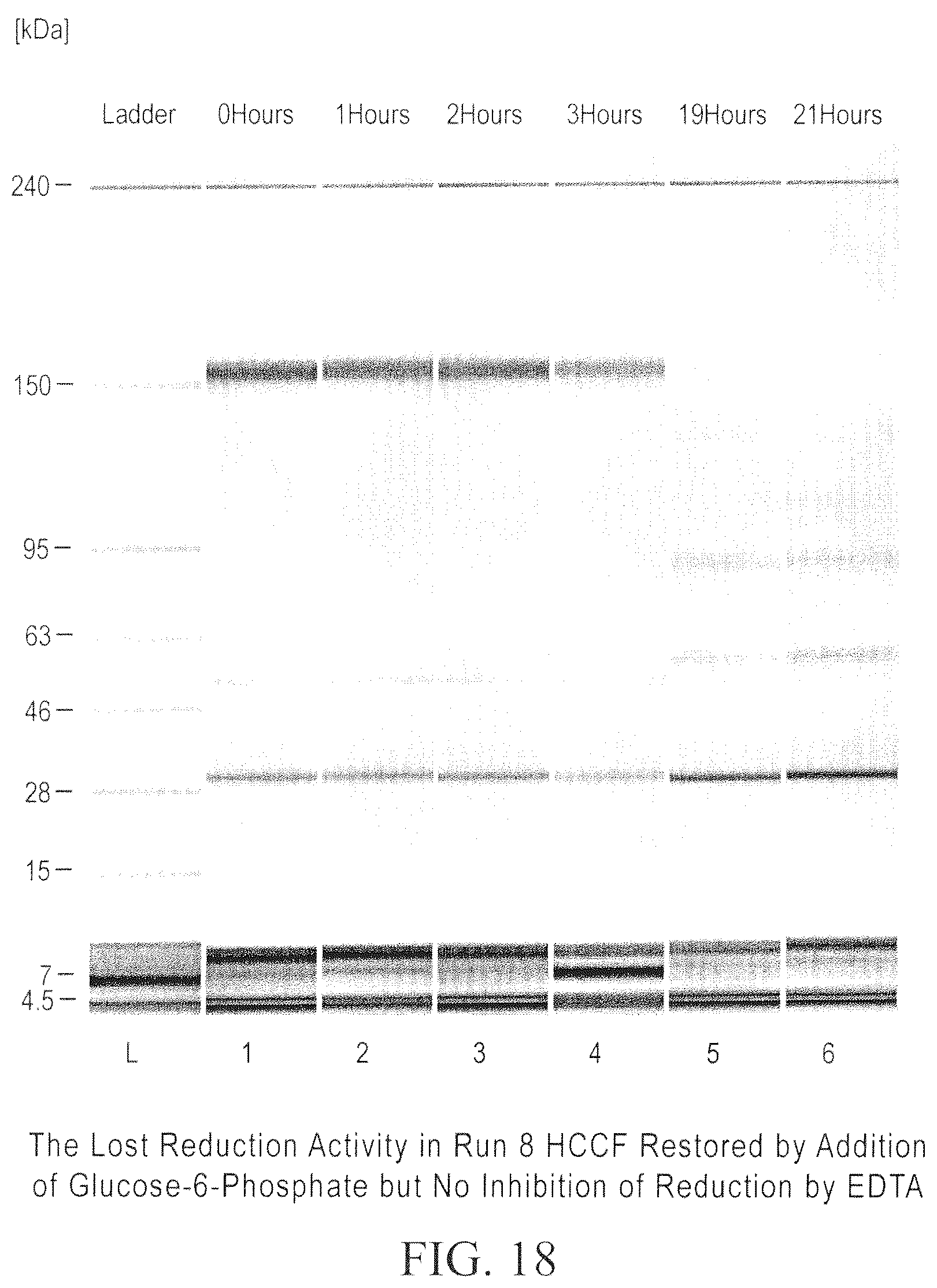 Patent US12098211 Figure 18 – Prevention of disulfide bond reduction during recombinant production of polypeptides