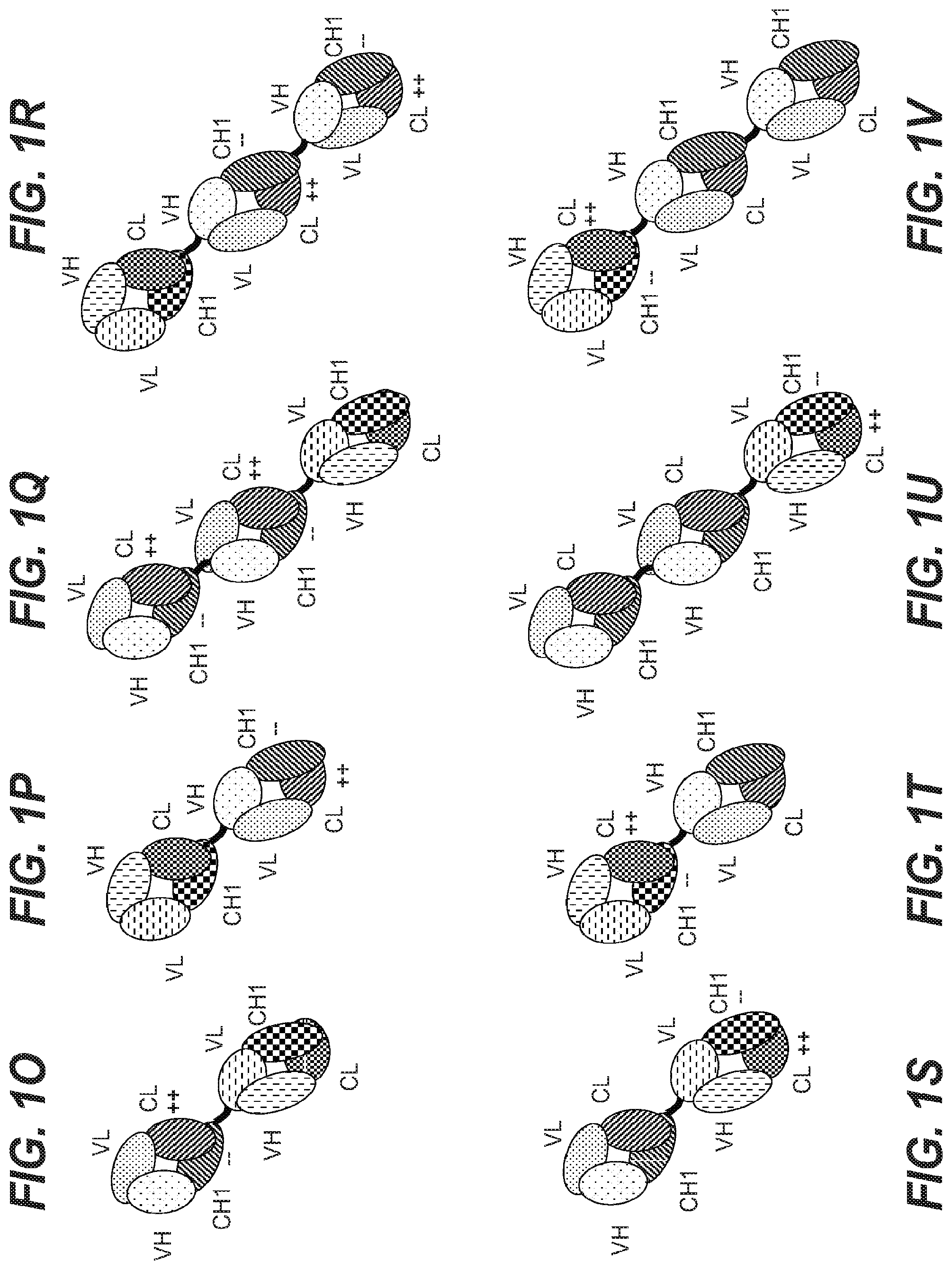 Patent US12098213 Figure 3 – Antibodies binding to HLA-A2/WT1