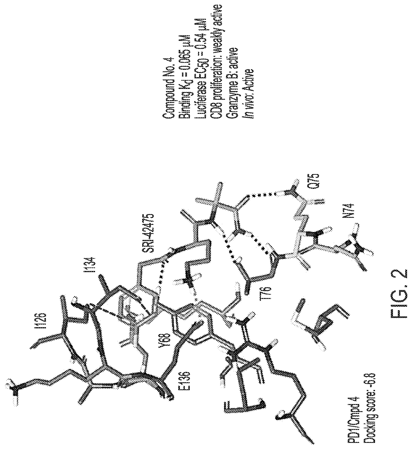 Patent US12098216 Figure 2 – Modulators of programmed death-ligand-1 and/or programmed death-ligand-2