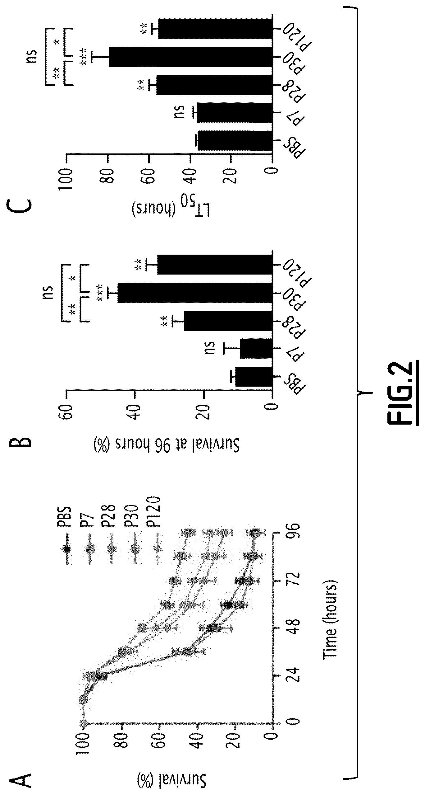 Patent US12098217 Figure 2 – Fusion peptides as antimicrobial agents