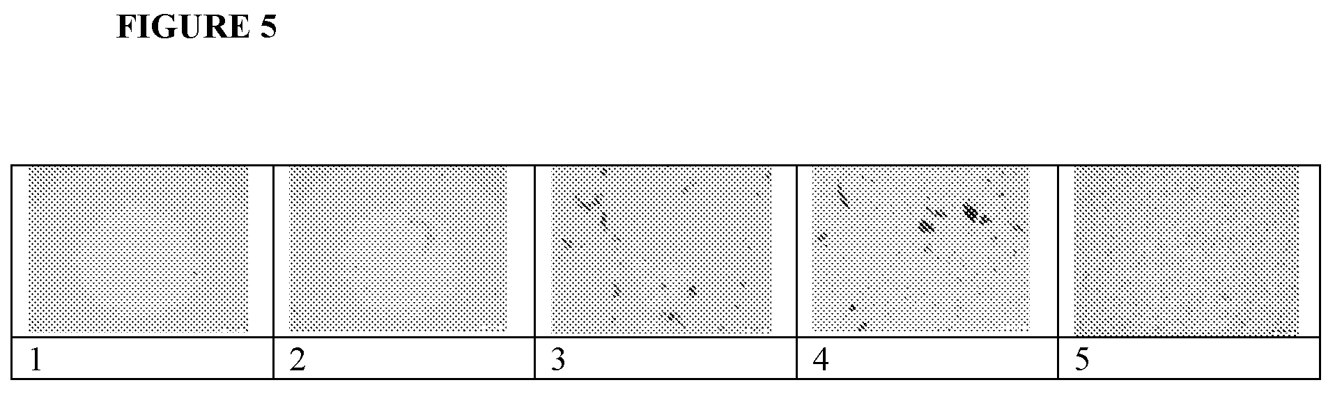 Patent US12098220 Figure 5 – Radiopaque polymers