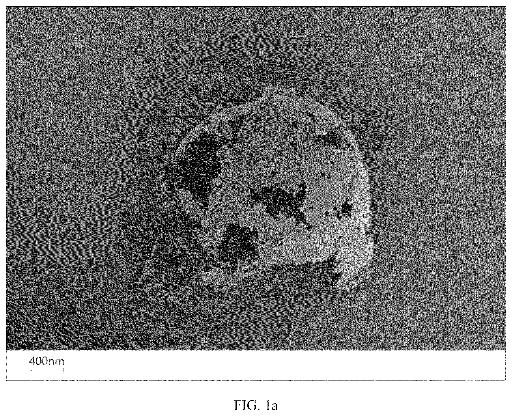 Patent US12098225 — Preparation method for amphiphilic nanosheet — Figure 1