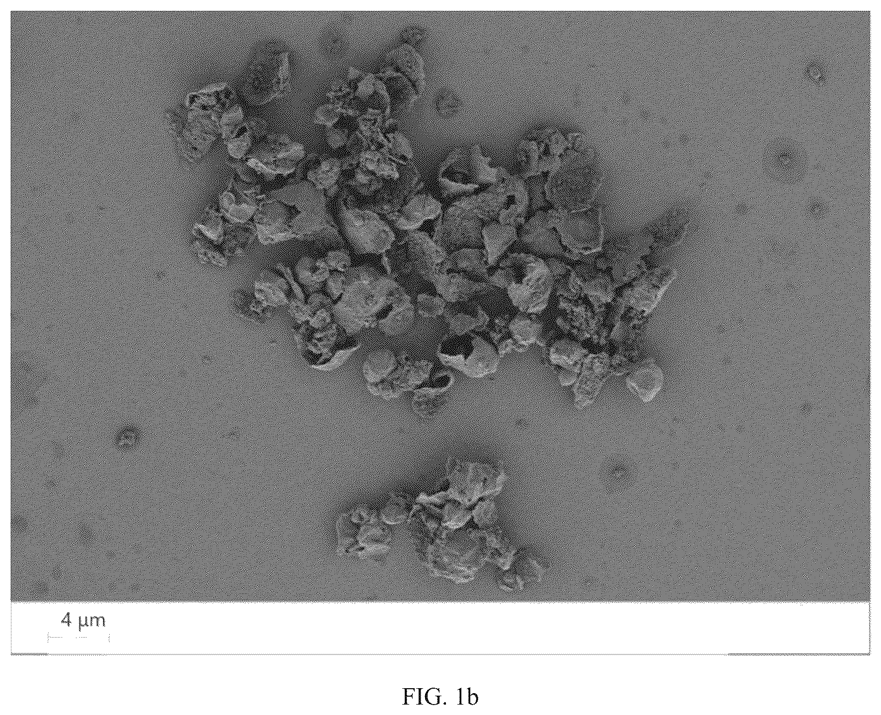 Patent US12098225 Figure 2 – Preparation method for amphiphilic nanosheet