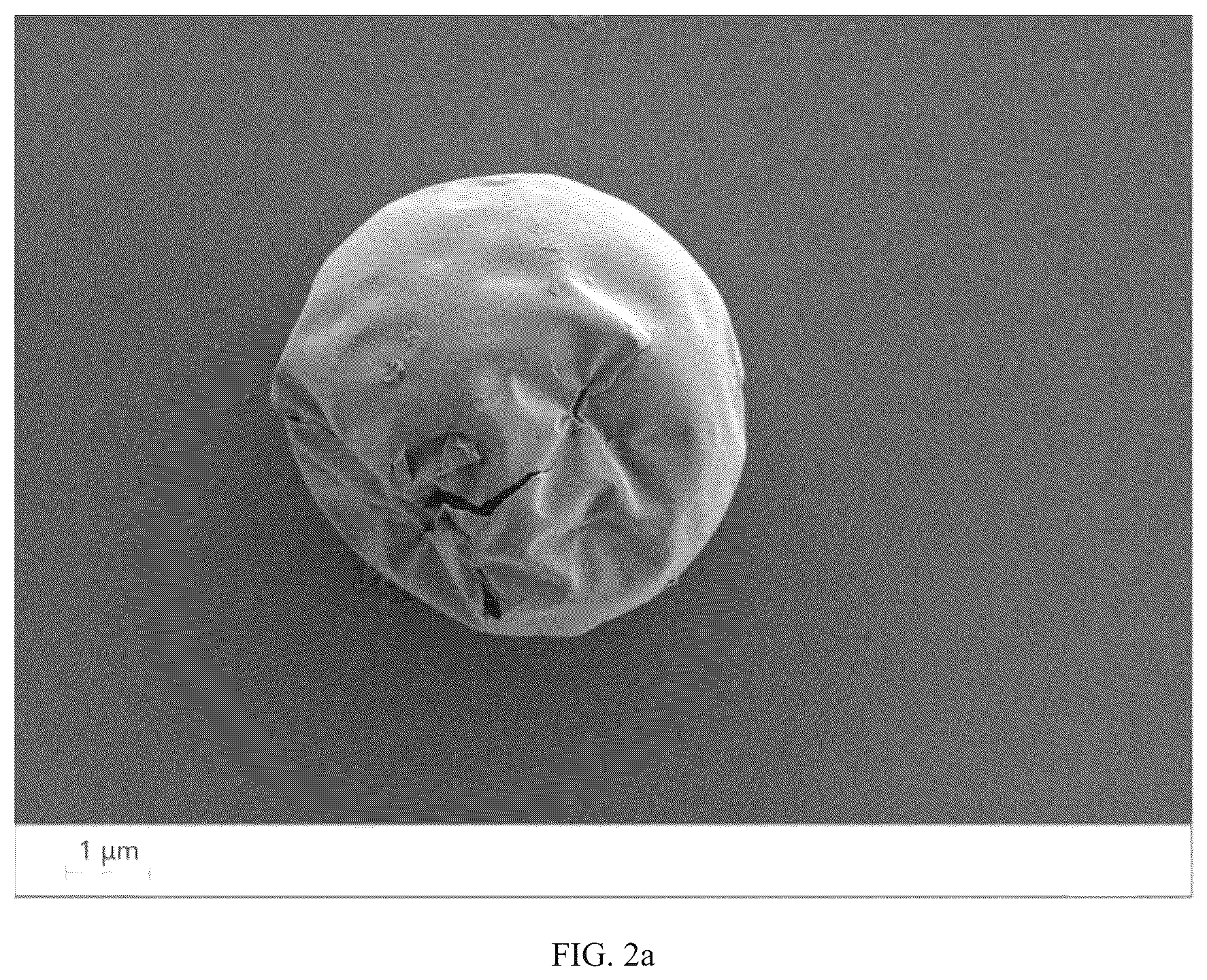 Patent US12098225 Figure 4 – Preparation method for amphiphilic nanosheet