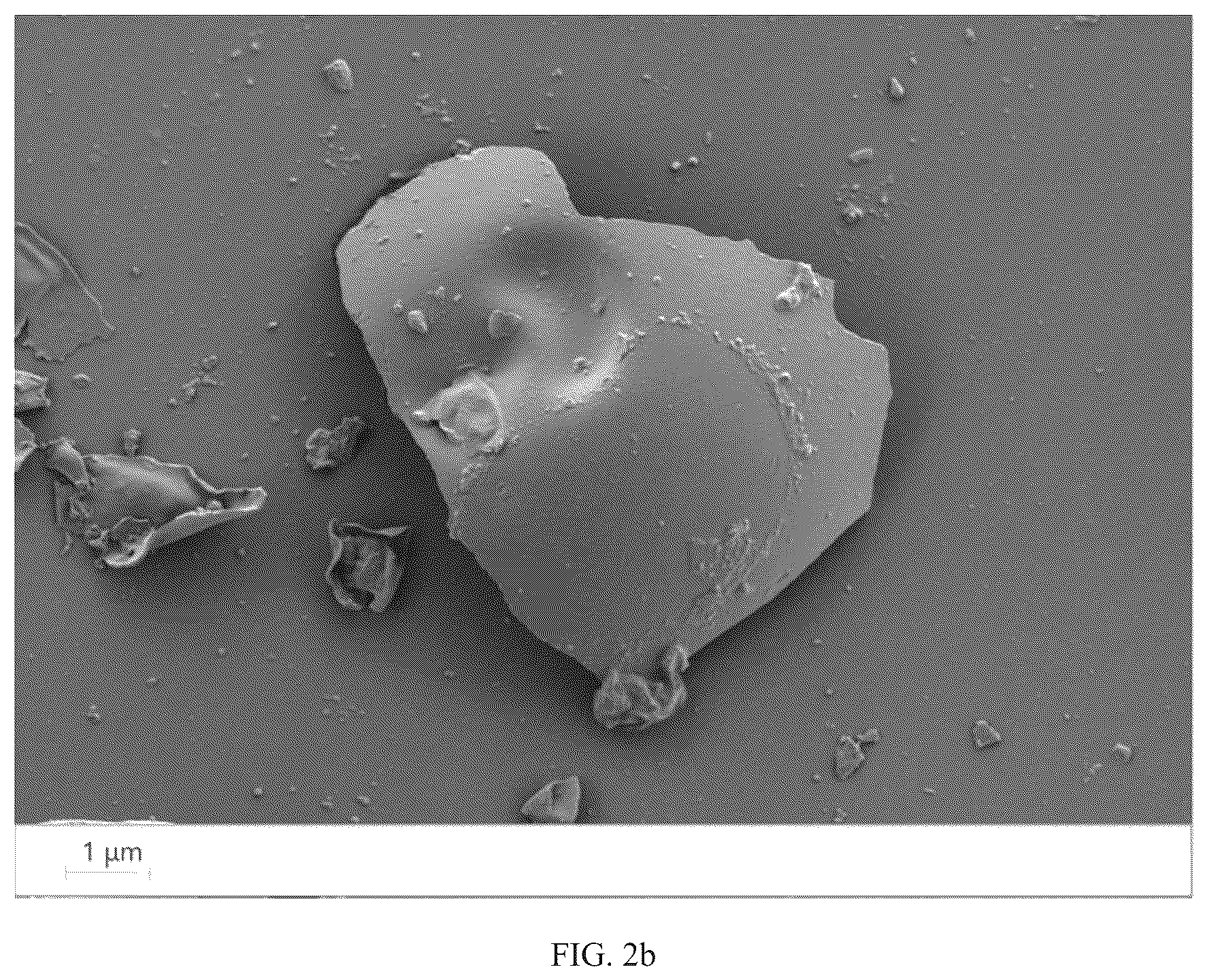 Patent US12098225 Figure 5 – Preparation method for amphiphilic nanosheet