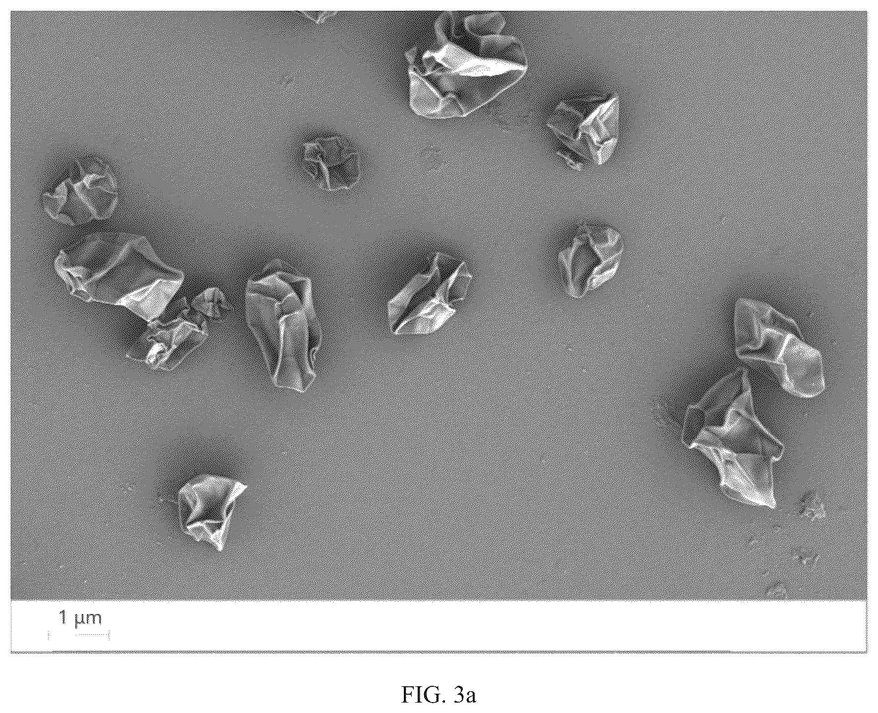 Patent US12098225 Figure 7 – Preparation method for amphiphilic nanosheet