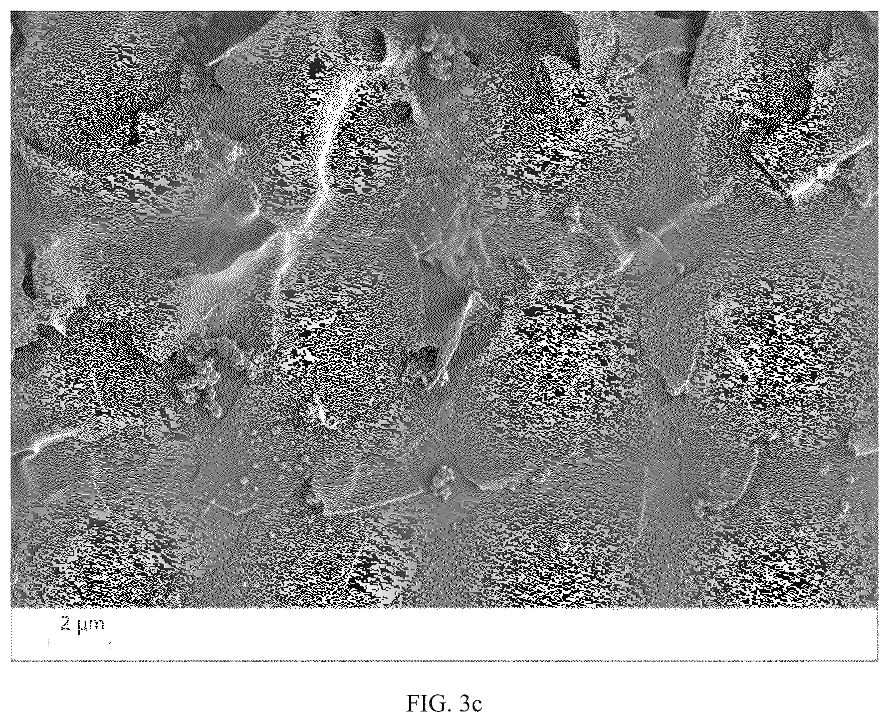 Patent US12098225 Figure 9 – Preparation method for amphiphilic nanosheet