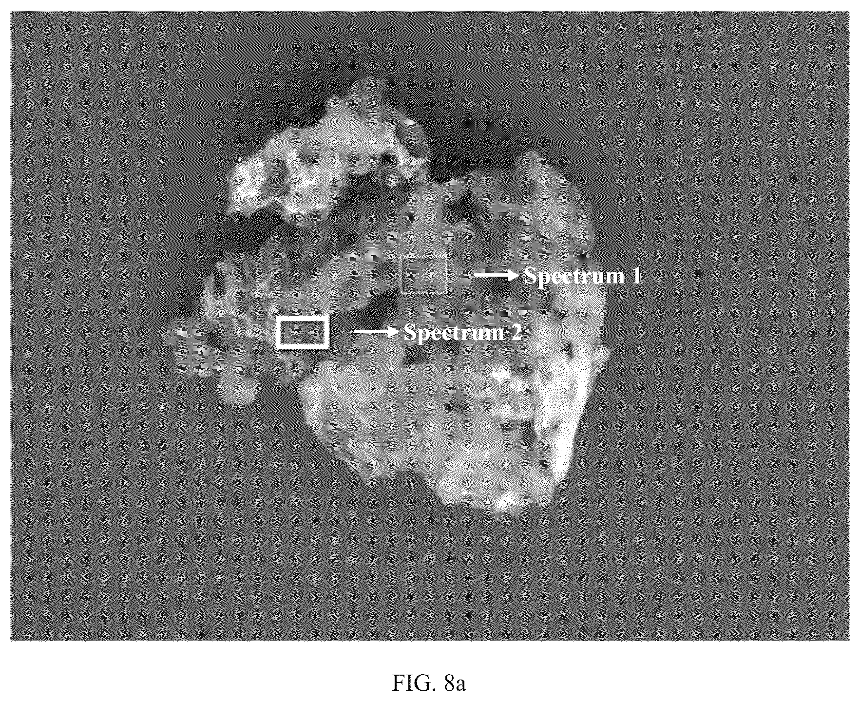 Patent US12098225 Figure 14 – Preparation method for amphiphilic nanosheet