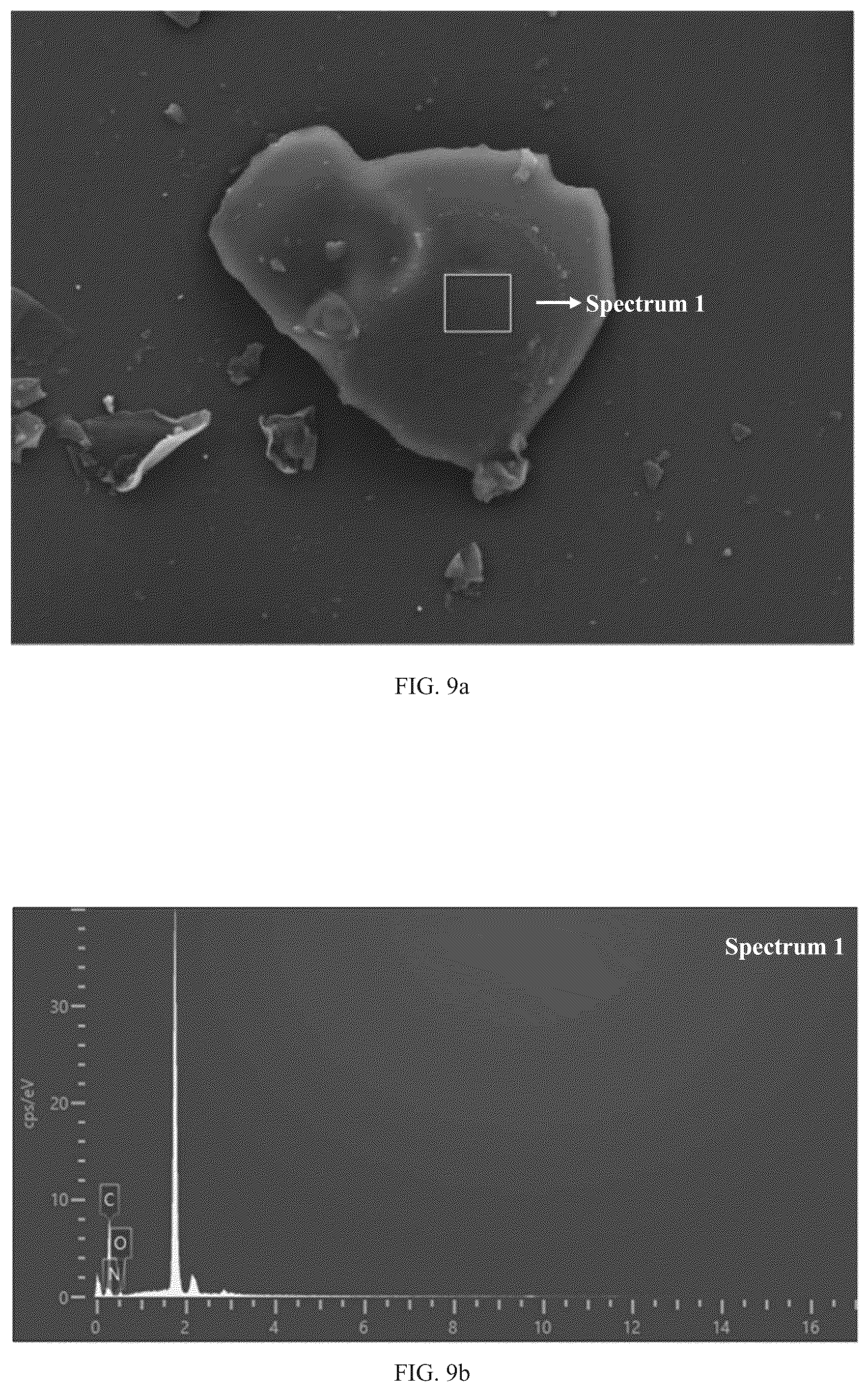 Patent US12098225 Figure 16 – Preparation method for amphiphilic nanosheet