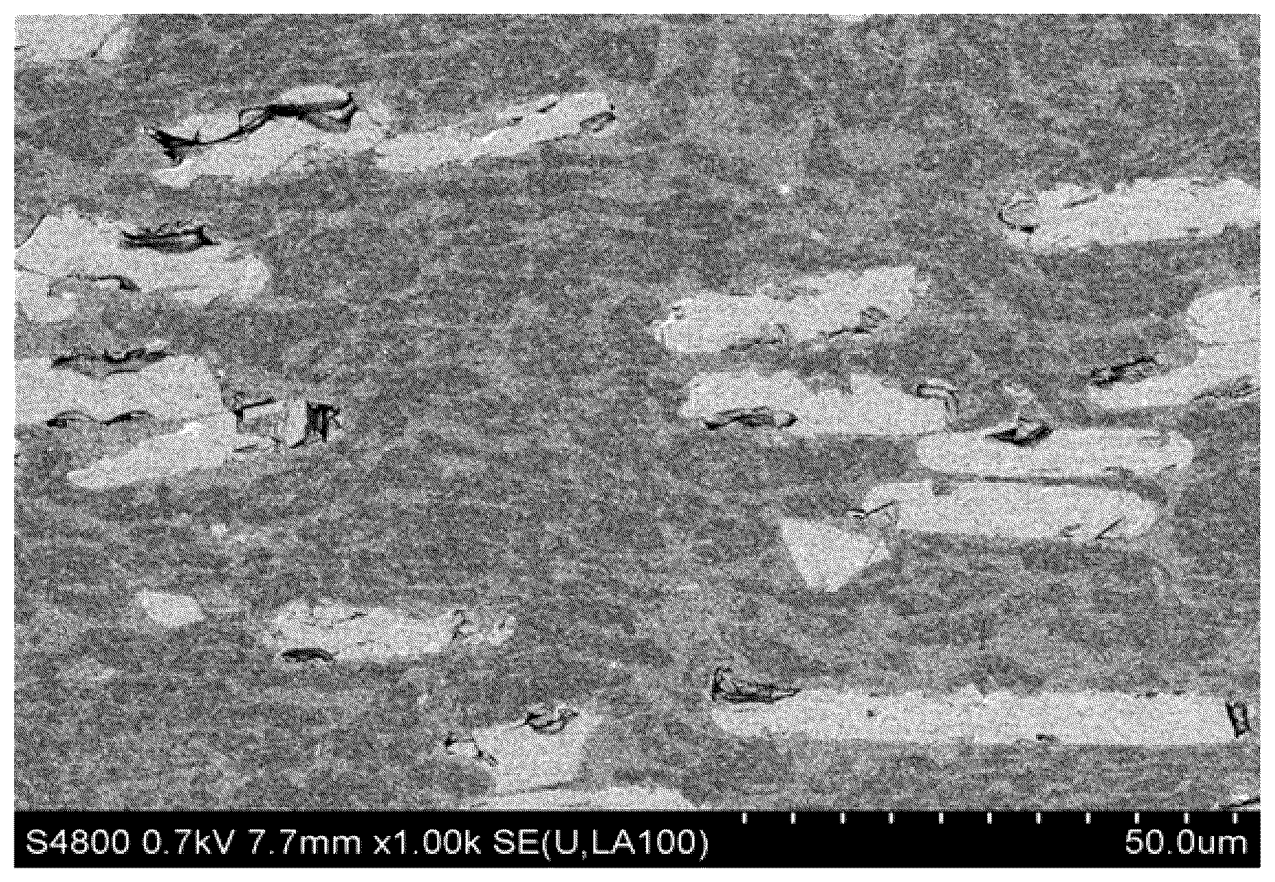 Patent US12098241 Figure 1 – Thermoplastic resin composition and molded article