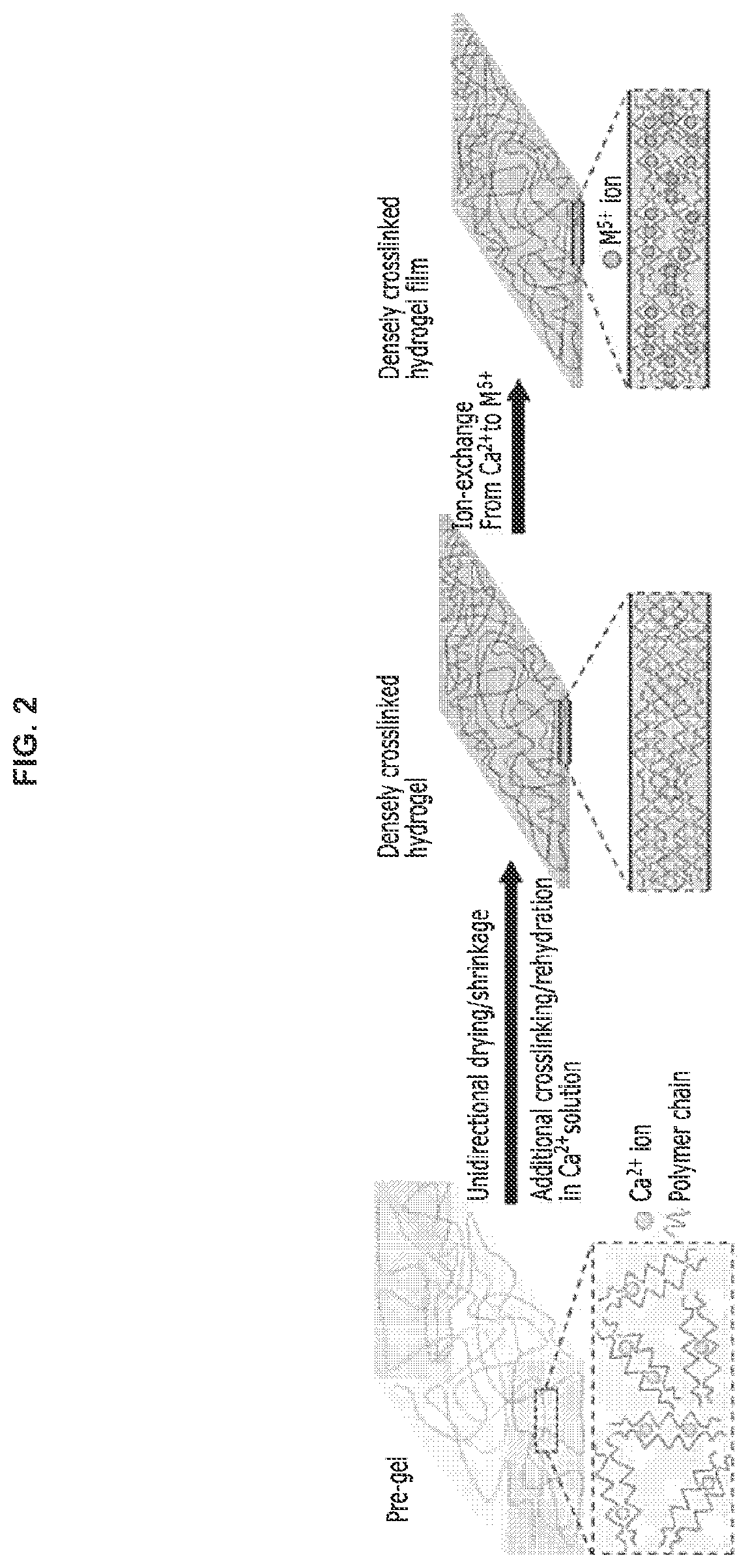 Patent US12098252 Figure 2 – Method for preparing hydrogel and energy storage device including the same