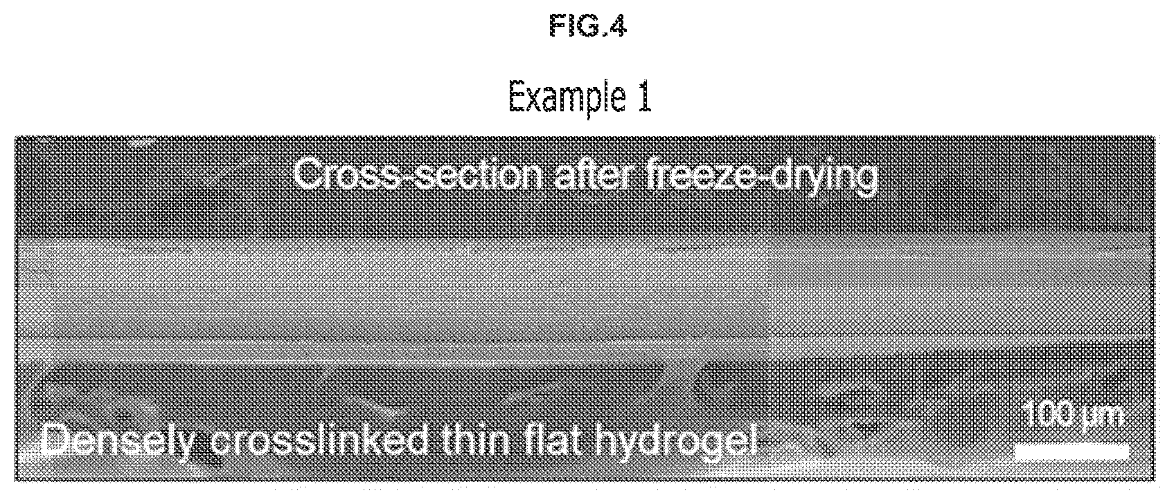 Patent US12098252 Figure 4 – Method for preparing hydrogel and energy storage device including the same
