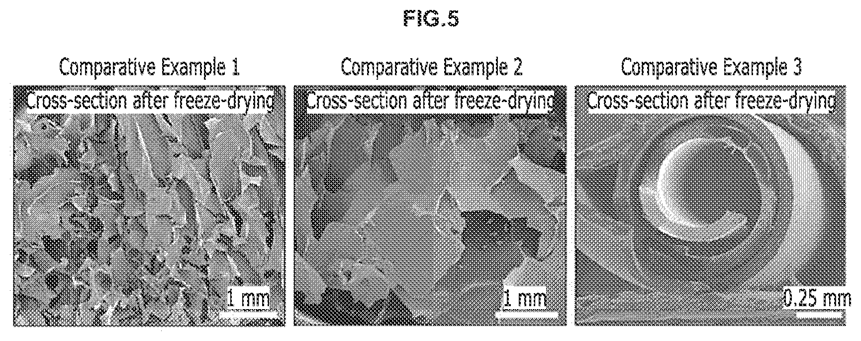 Patent US12098252 Figure 5 – Method for preparing hydrogel and energy storage device including the same