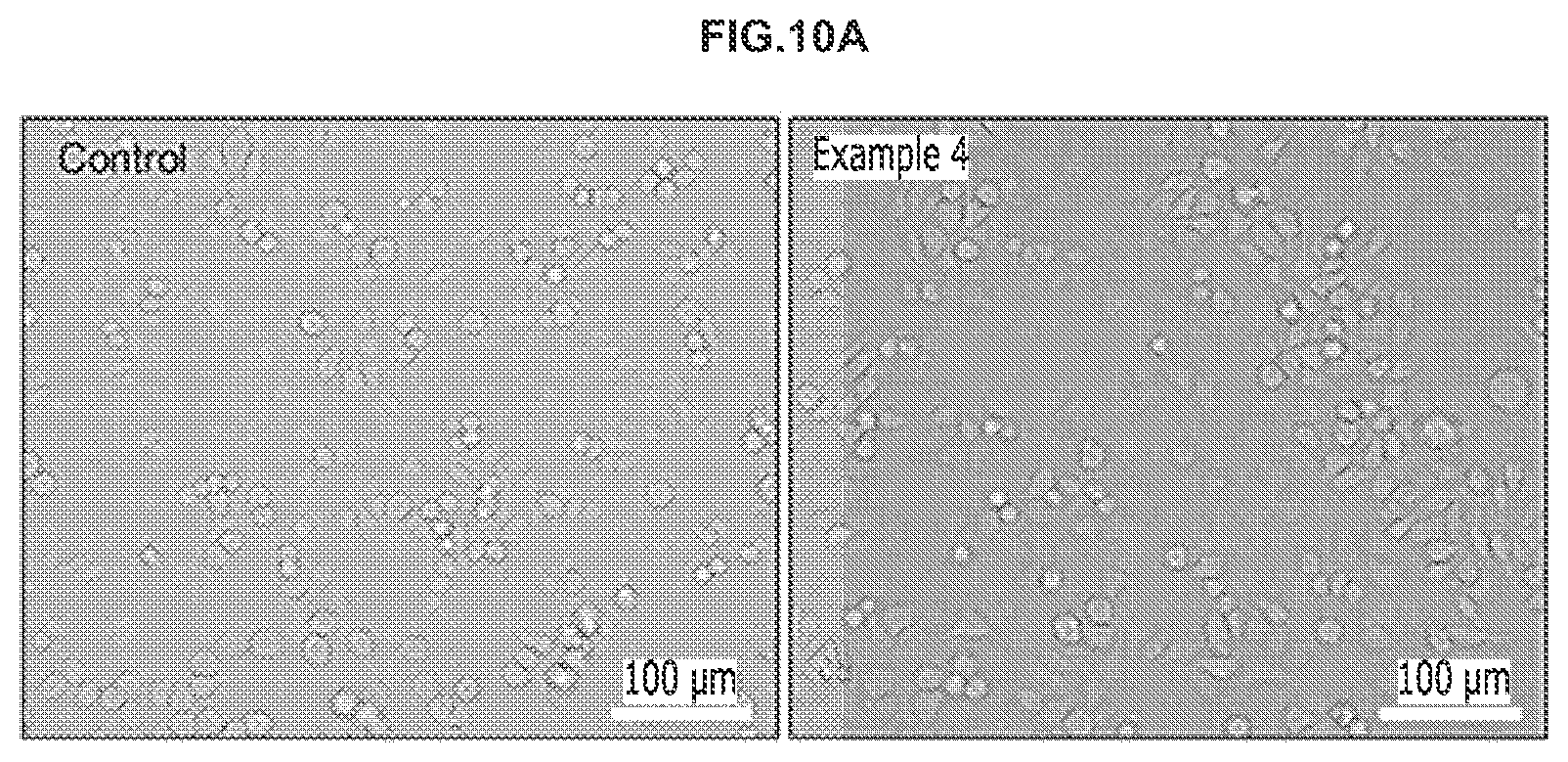 Patent US12098252 Figure 11 – Method for preparing hydrogel and energy storage device including the same