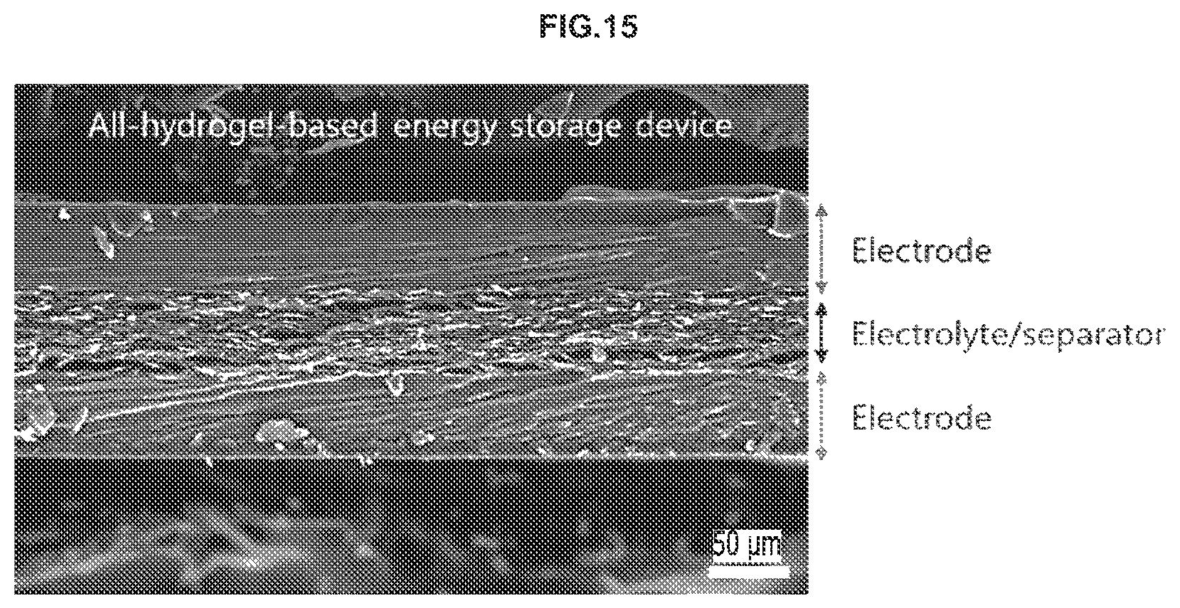Patent US12098252 Figure 20 – Method for preparing hydrogel and energy storage device including the same