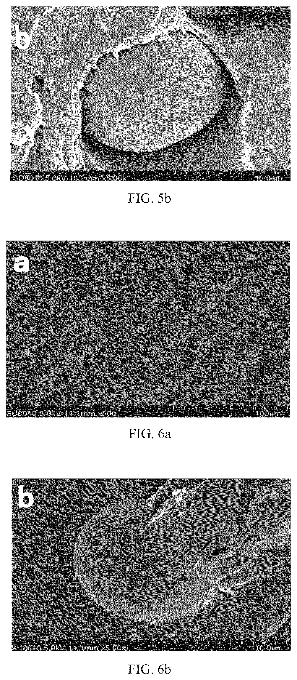 Patent US12098253 Figure 3 – Method for preparing thermoplastic starch by in-situ reactive extrusion plasticization process and method for preparing starch/polymer blend by in-situ reactive extrusion plasticization and compatibilization process
