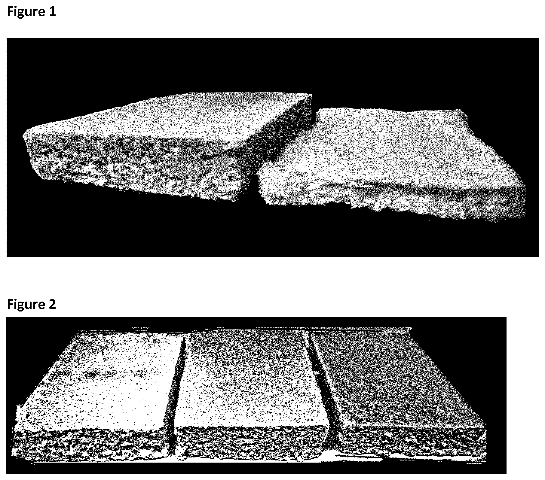 Patent US12098259 Figure 1 – Porous material of cellulose fibres and gluten
