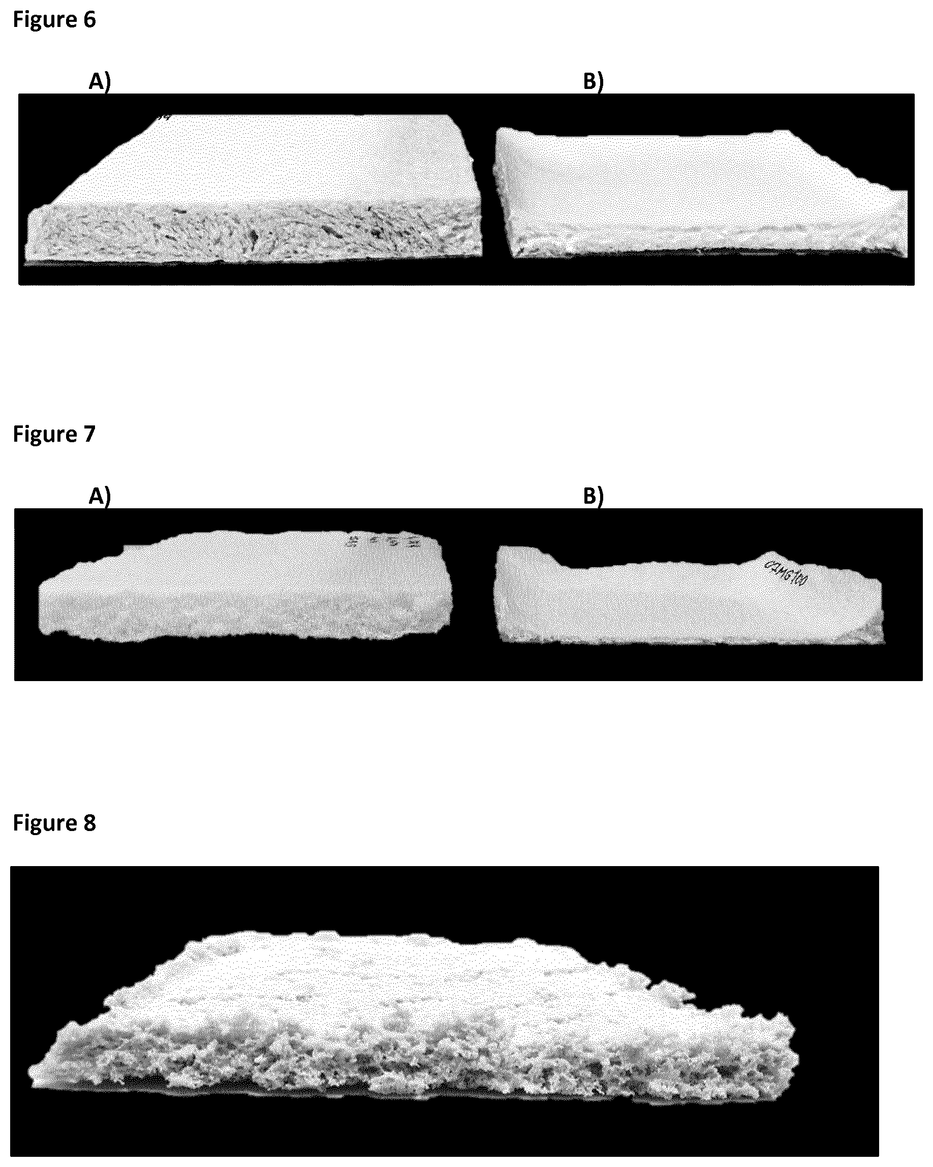 Patent US12098259 Figure 4 – Porous material of cellulose fibres and gluten