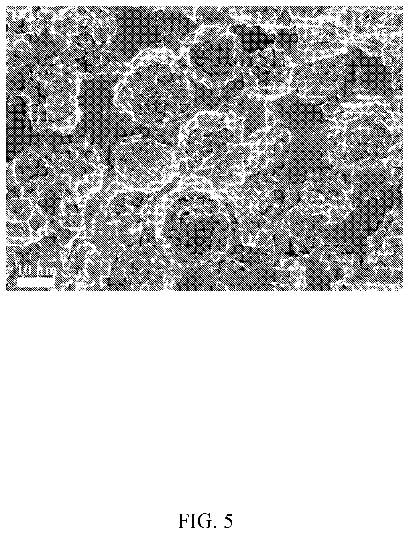Patent US12098263 Figure 5 – Composite insulating material based on dielectrophoretic force orientation and its preparation method