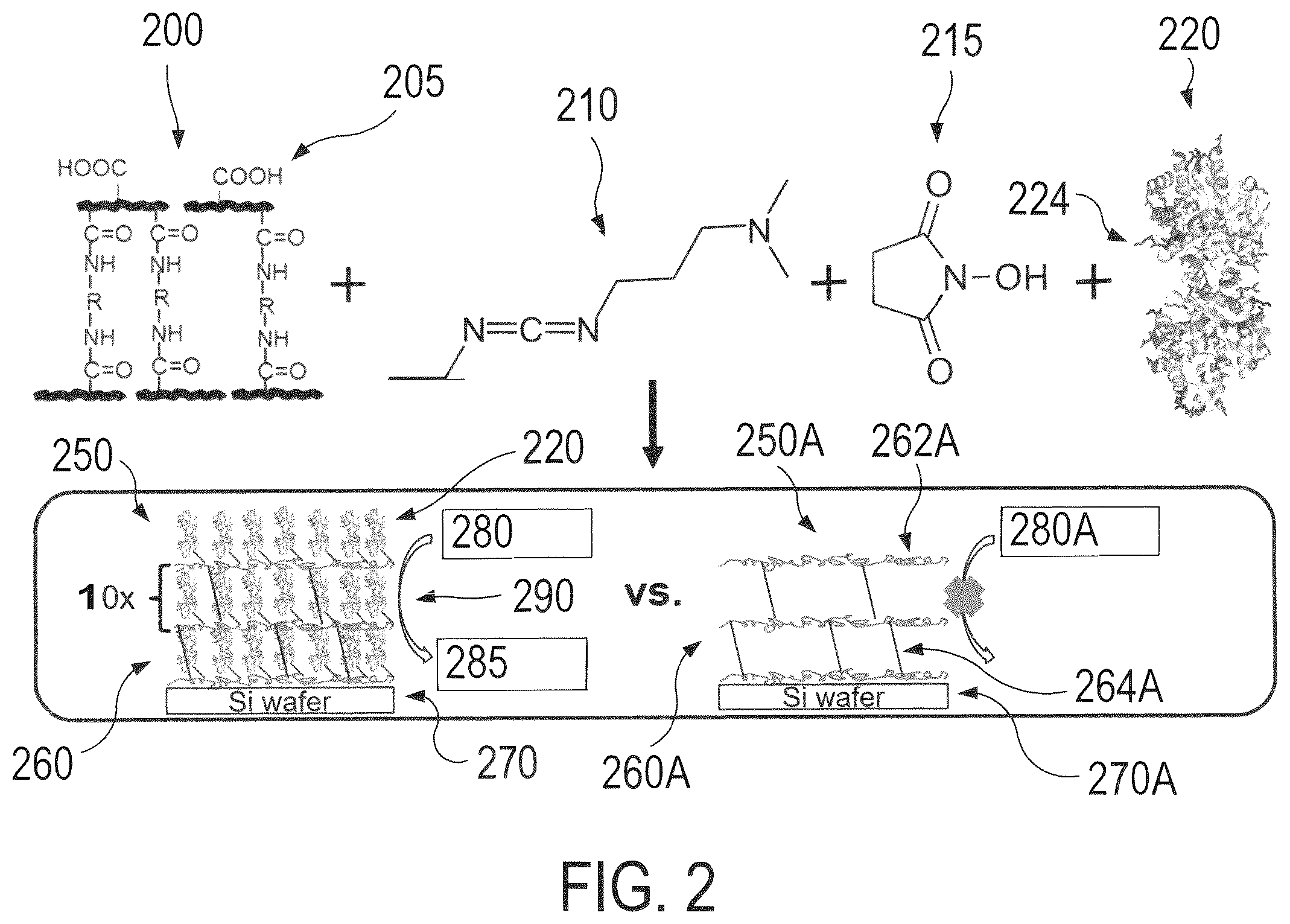 Patent US12098272 Figure 2 – Hydrogel-enzyme systems and methods