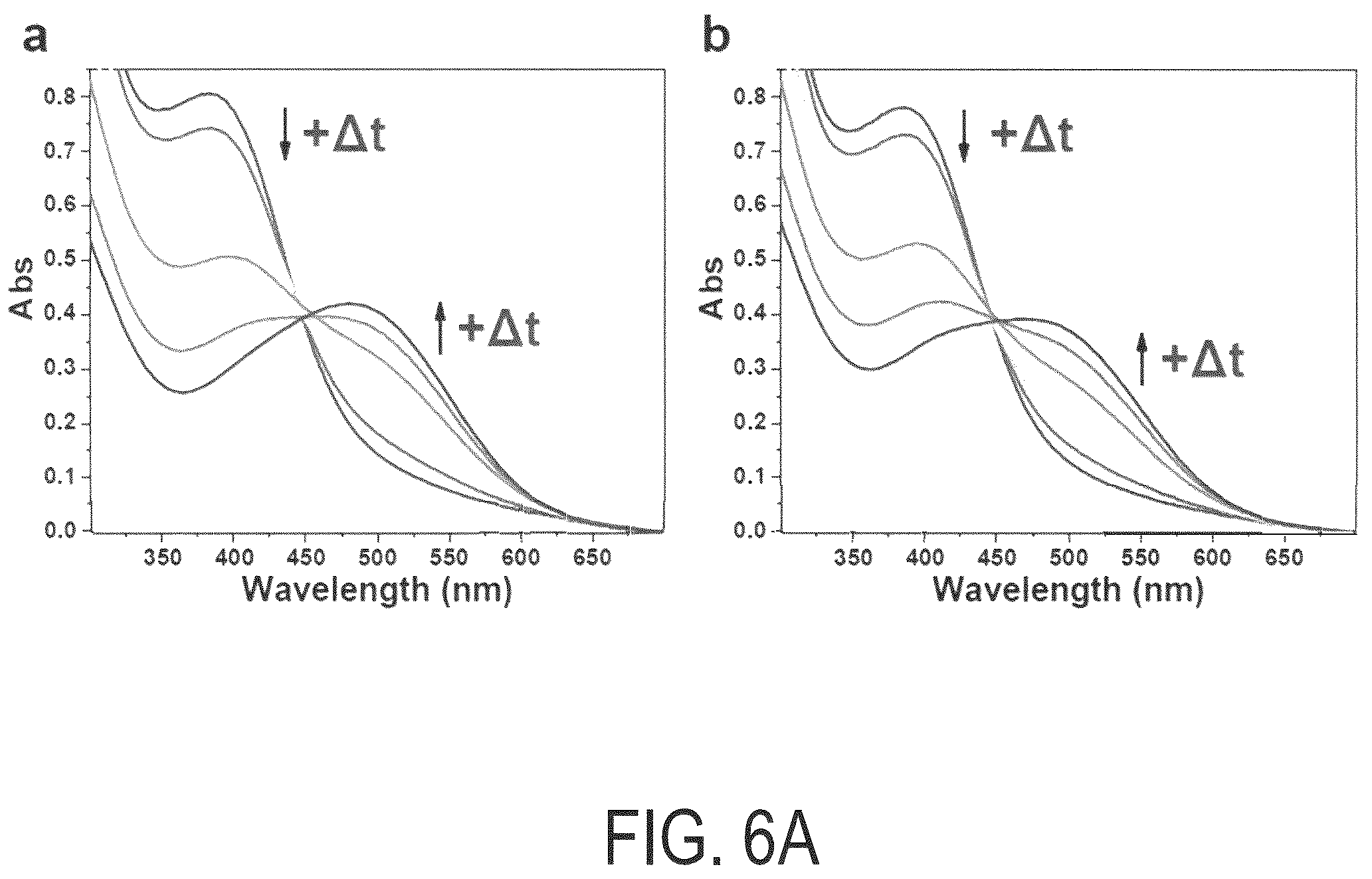 Patent US12098272 Figure 9 – Hydrogel-enzyme systems and methods