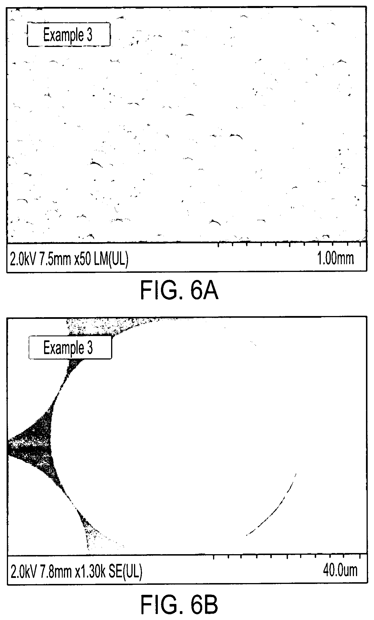 Patent US12098275 Figure 10 – Biodegradable polymer particulates and methods for production and use thereof