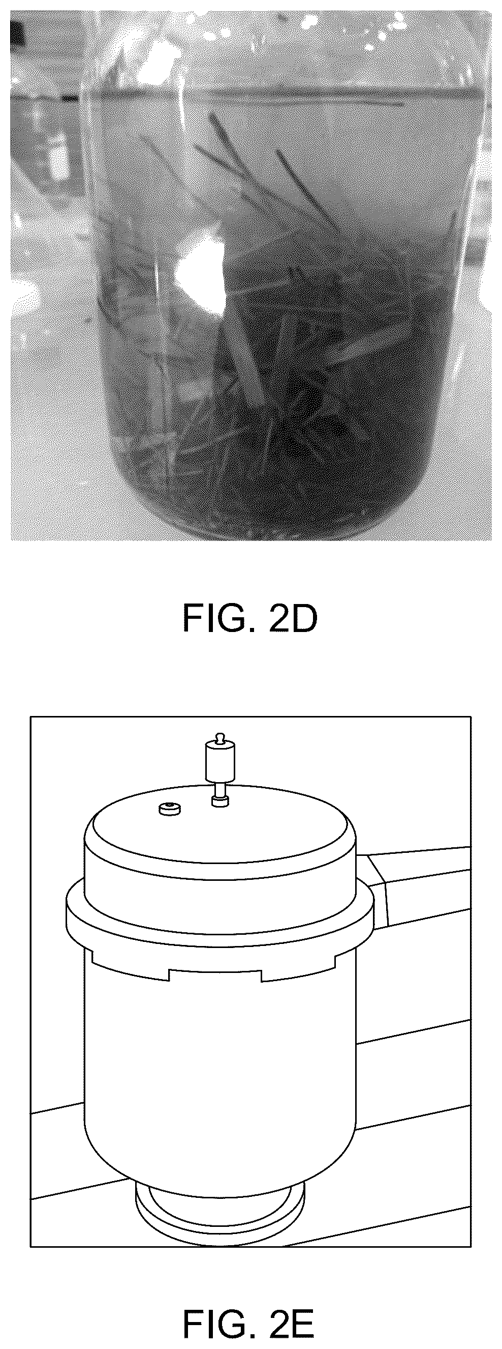 Patent US12098285 Figure 5 – Bio-based wearable films and method of preparation thereof