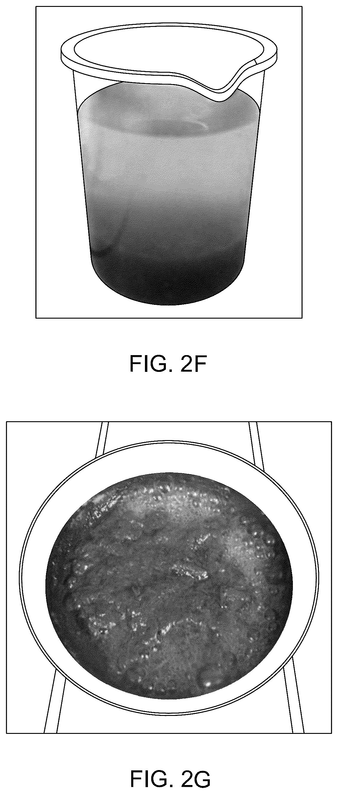 Patent US12098285 Figure 6 – Bio-based wearable films and method of preparation thereof
