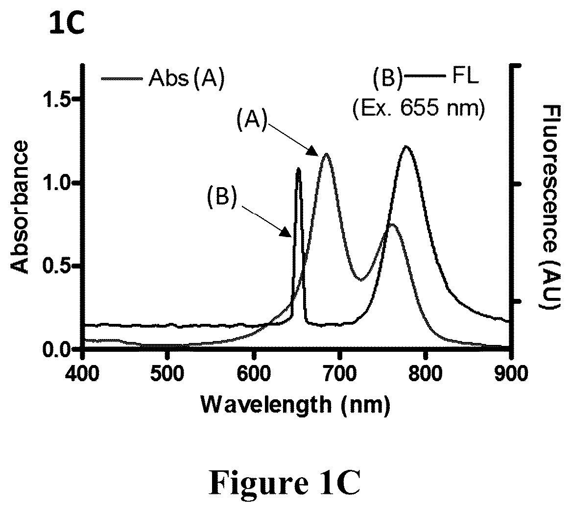 Patent US12098286 Figure 2 – Nanoprobe-metal chelator complexes