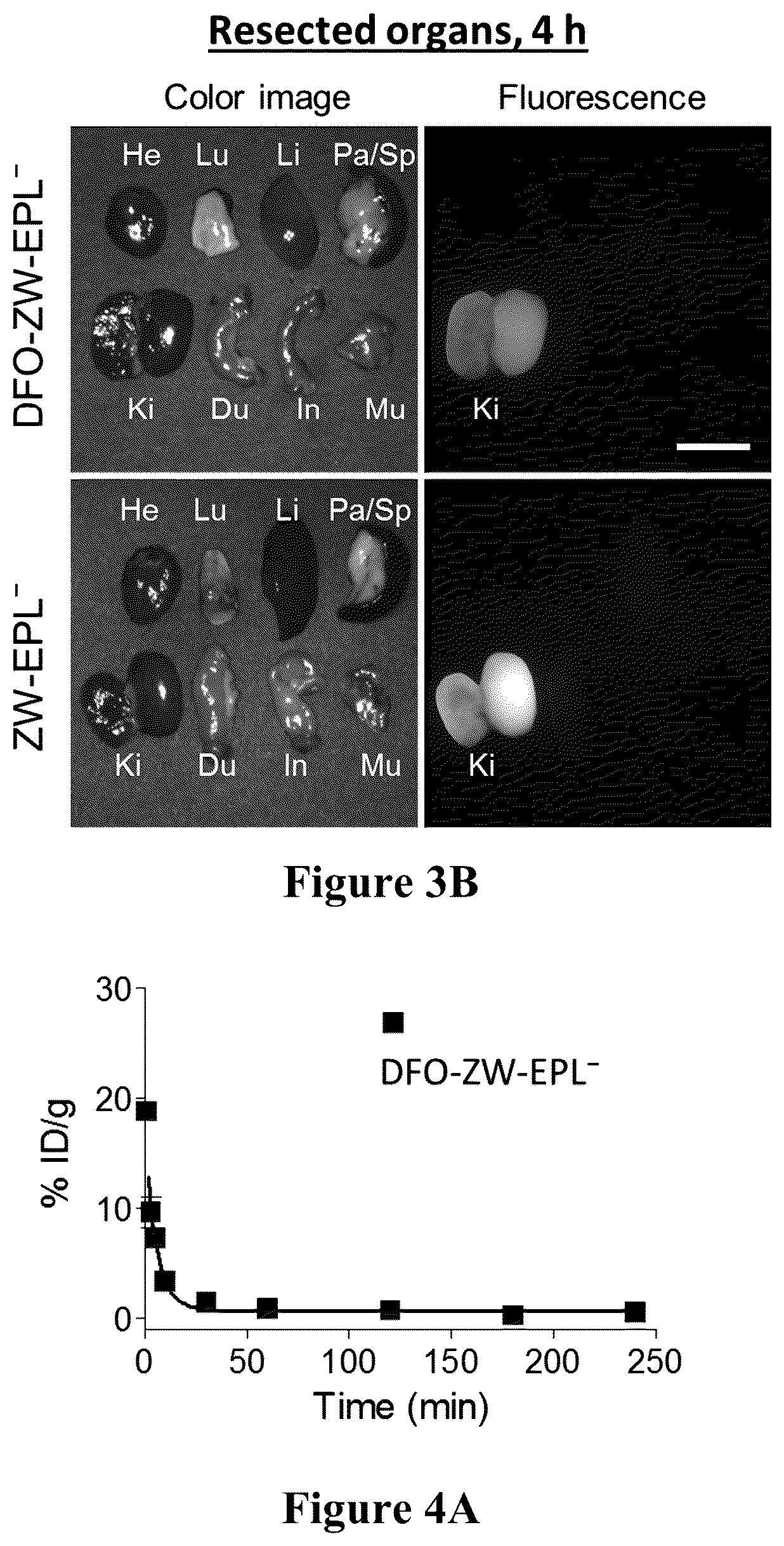 Patent US12098286 Figure 7 – Nanoprobe-metal chelator complexes